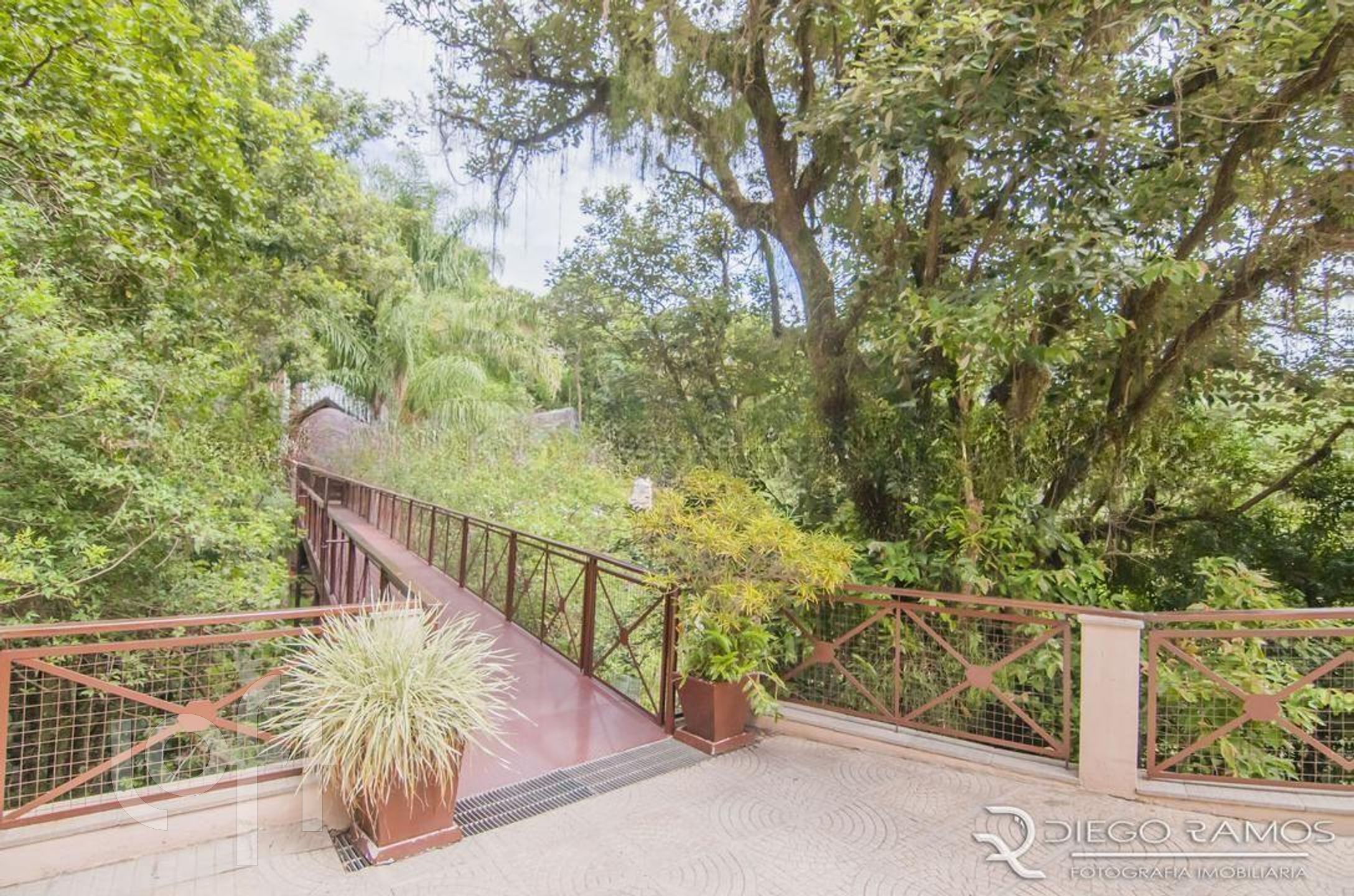 Imagem da propriedade 45