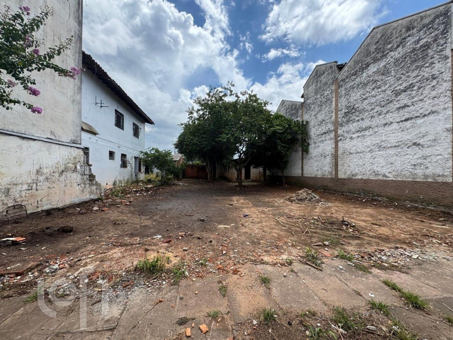 Imagem da propriedade 4