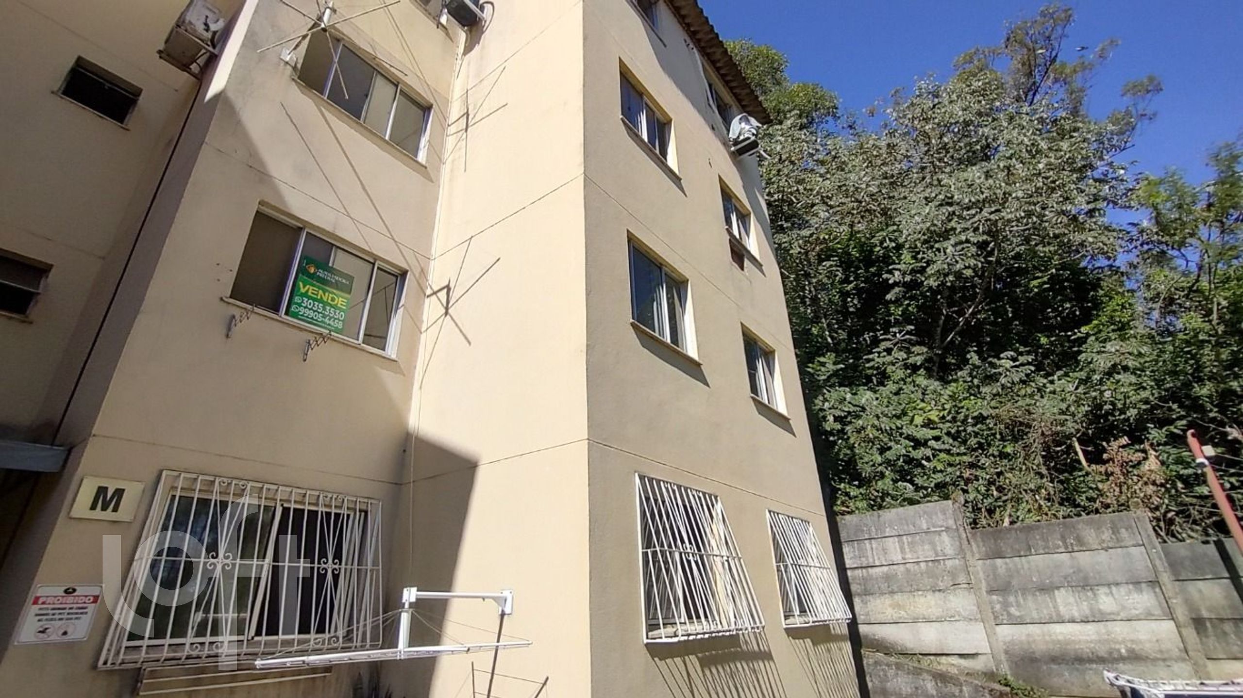 Imagem da propriedade 21