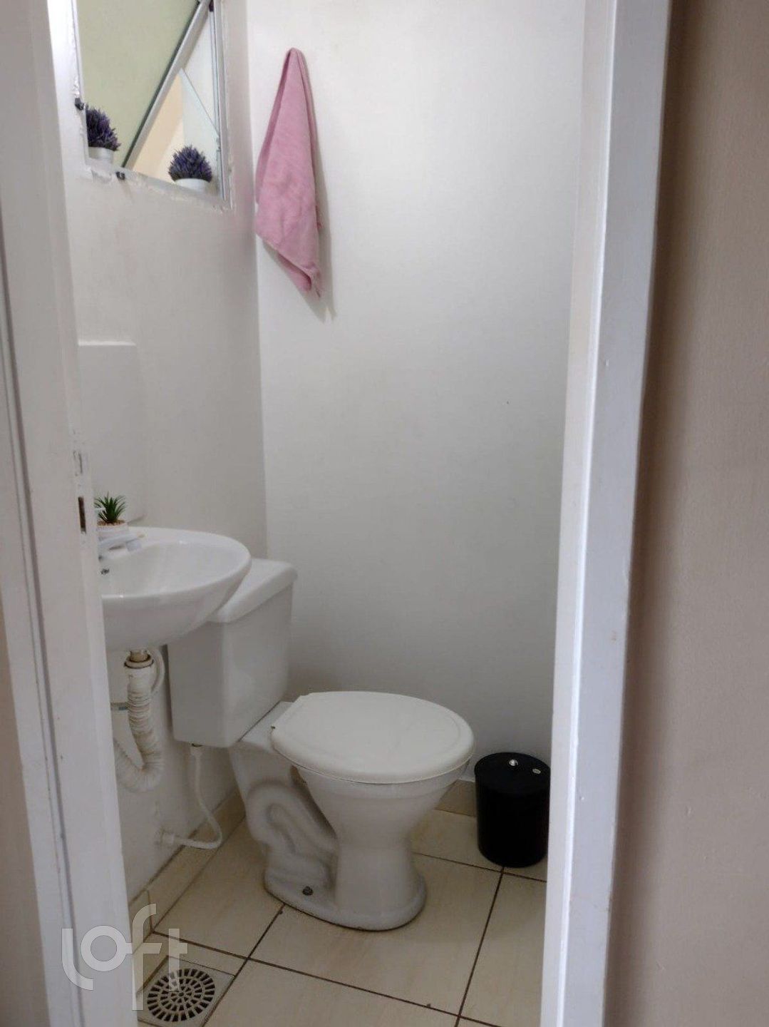 Imagem da propriedade 8