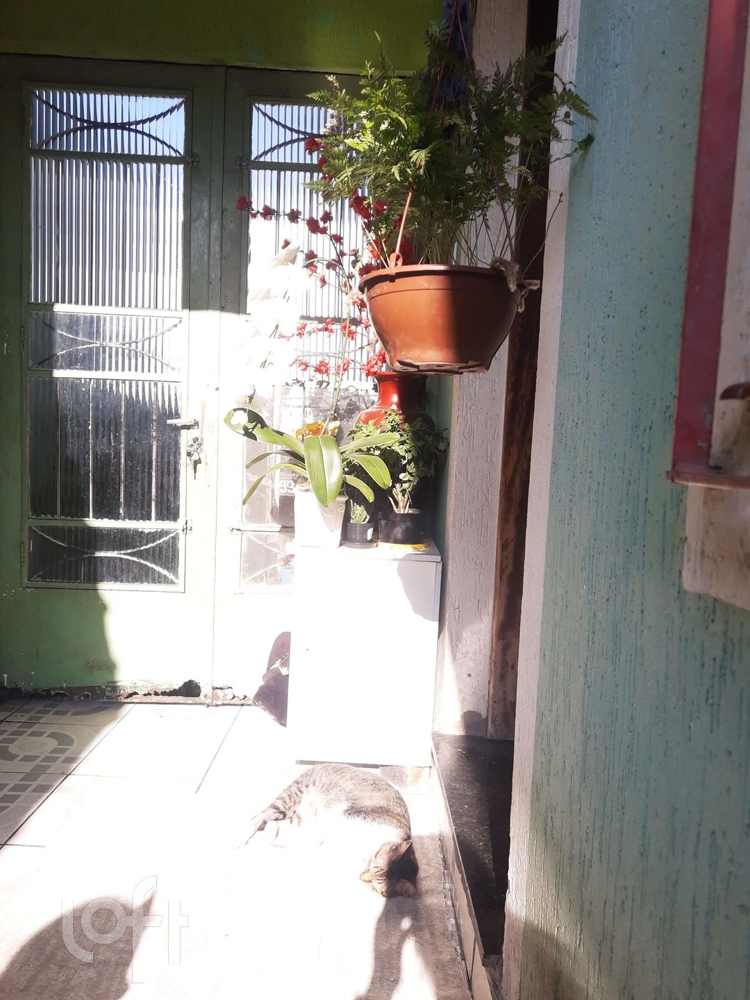 Imagem da propriedade PUerdfa8 6