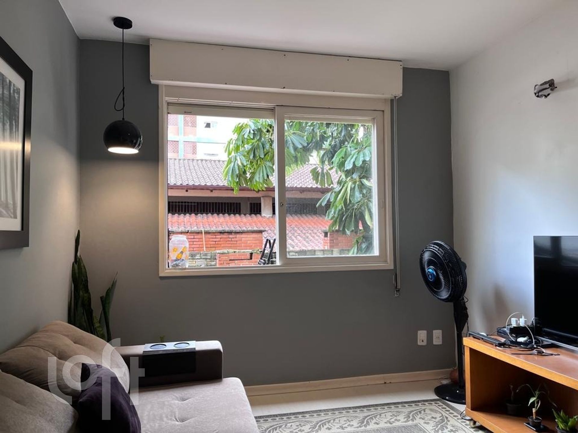 Imagem da propriedade 4