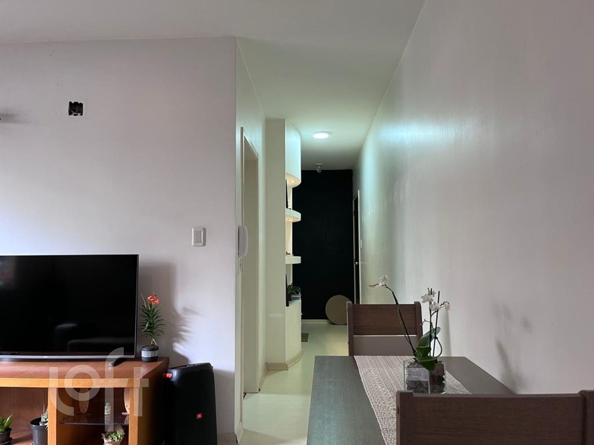 Imagem da propriedade 3