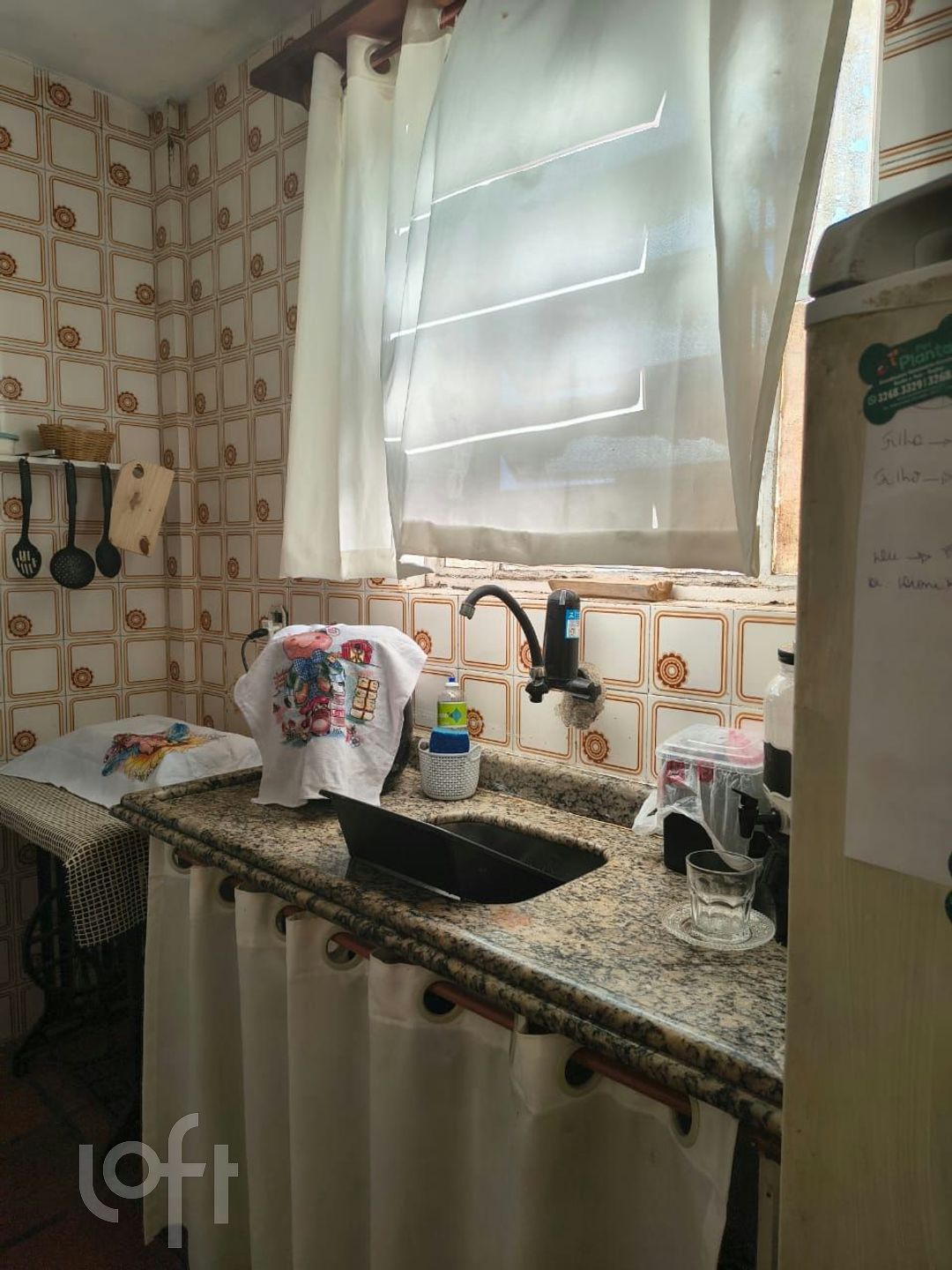 Imagem da propriedade 3