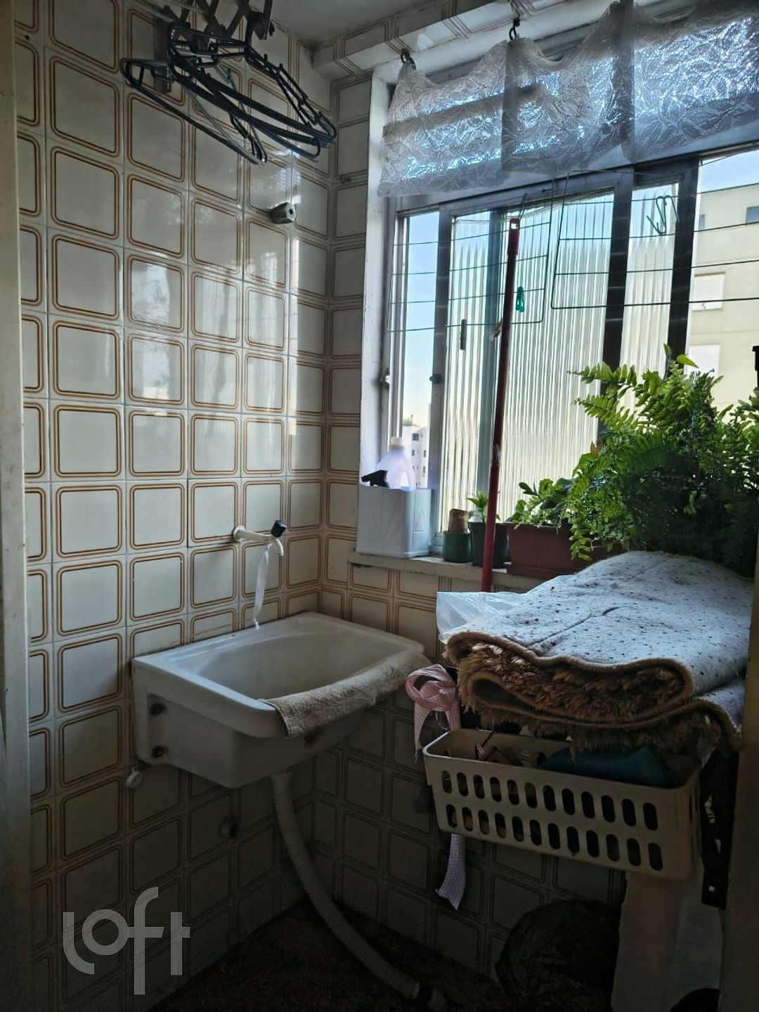 Imagem da propriedade 5