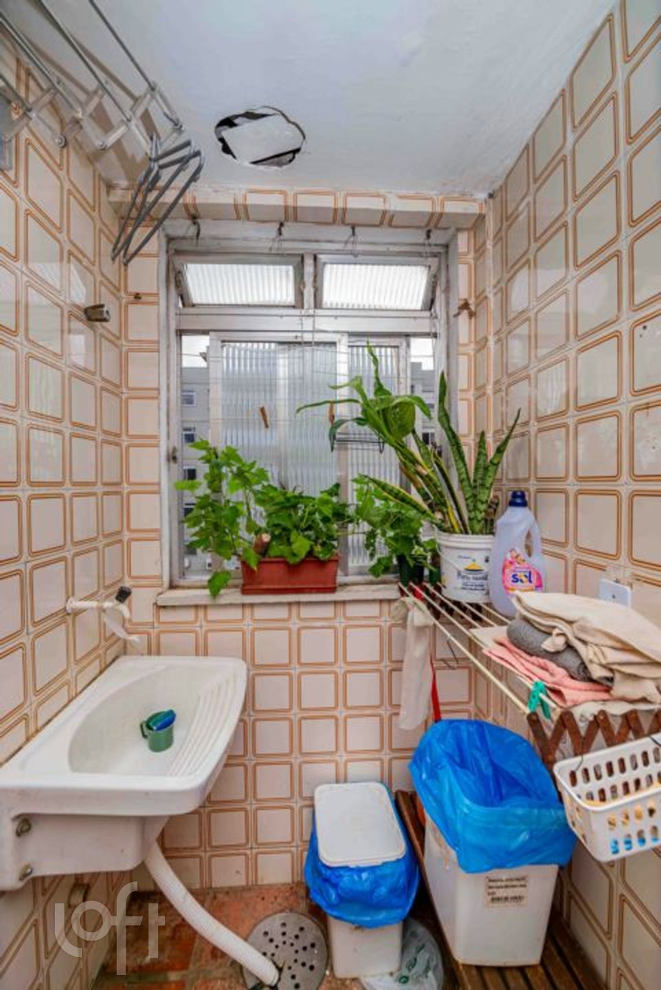 Imagem da propriedade 23