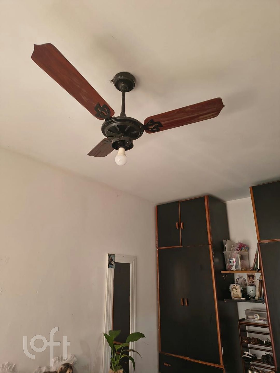 Imagem da propriedade 11