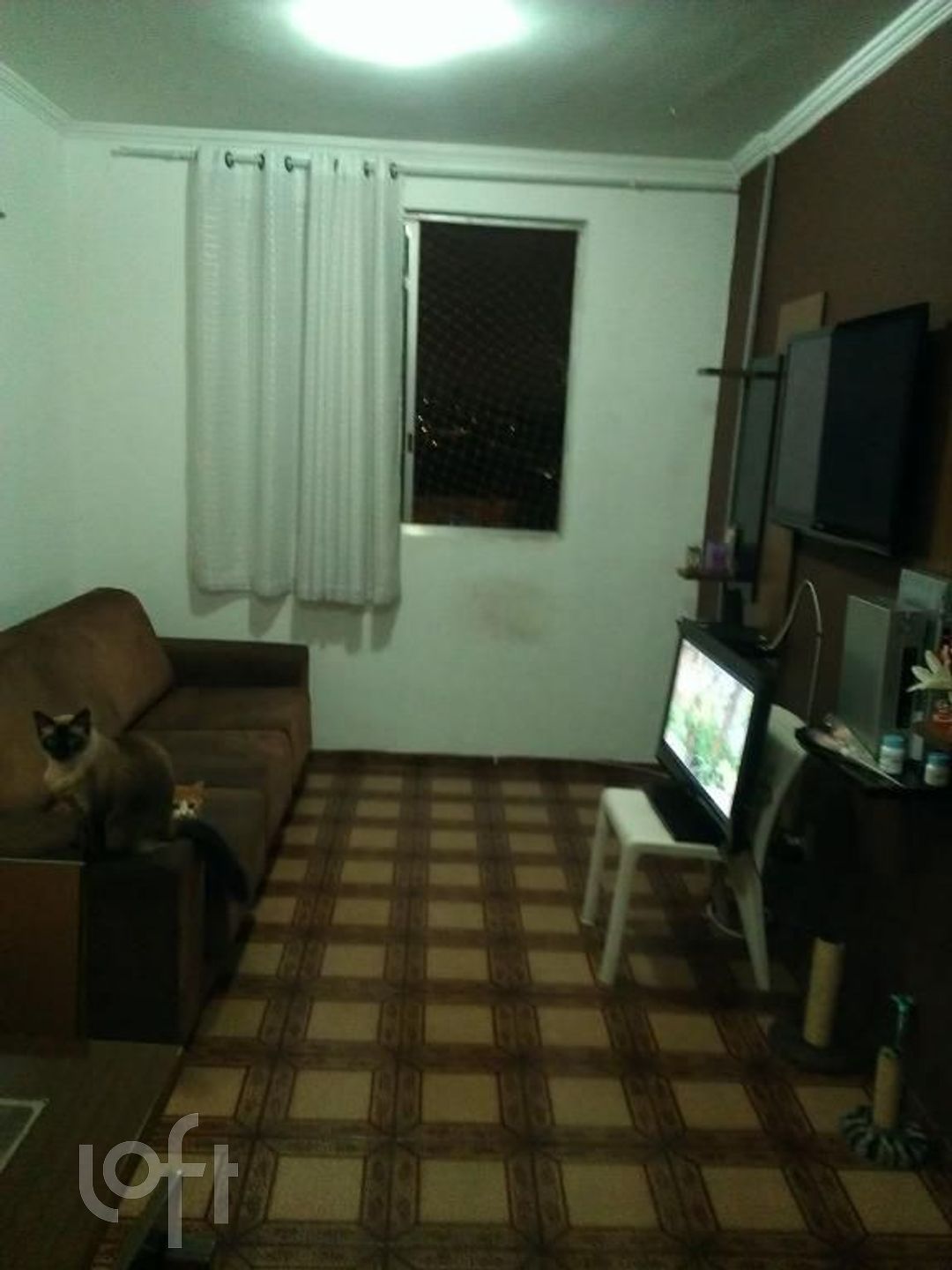 Apartamento à venda com 3 quartos, 73m² - Foto 1