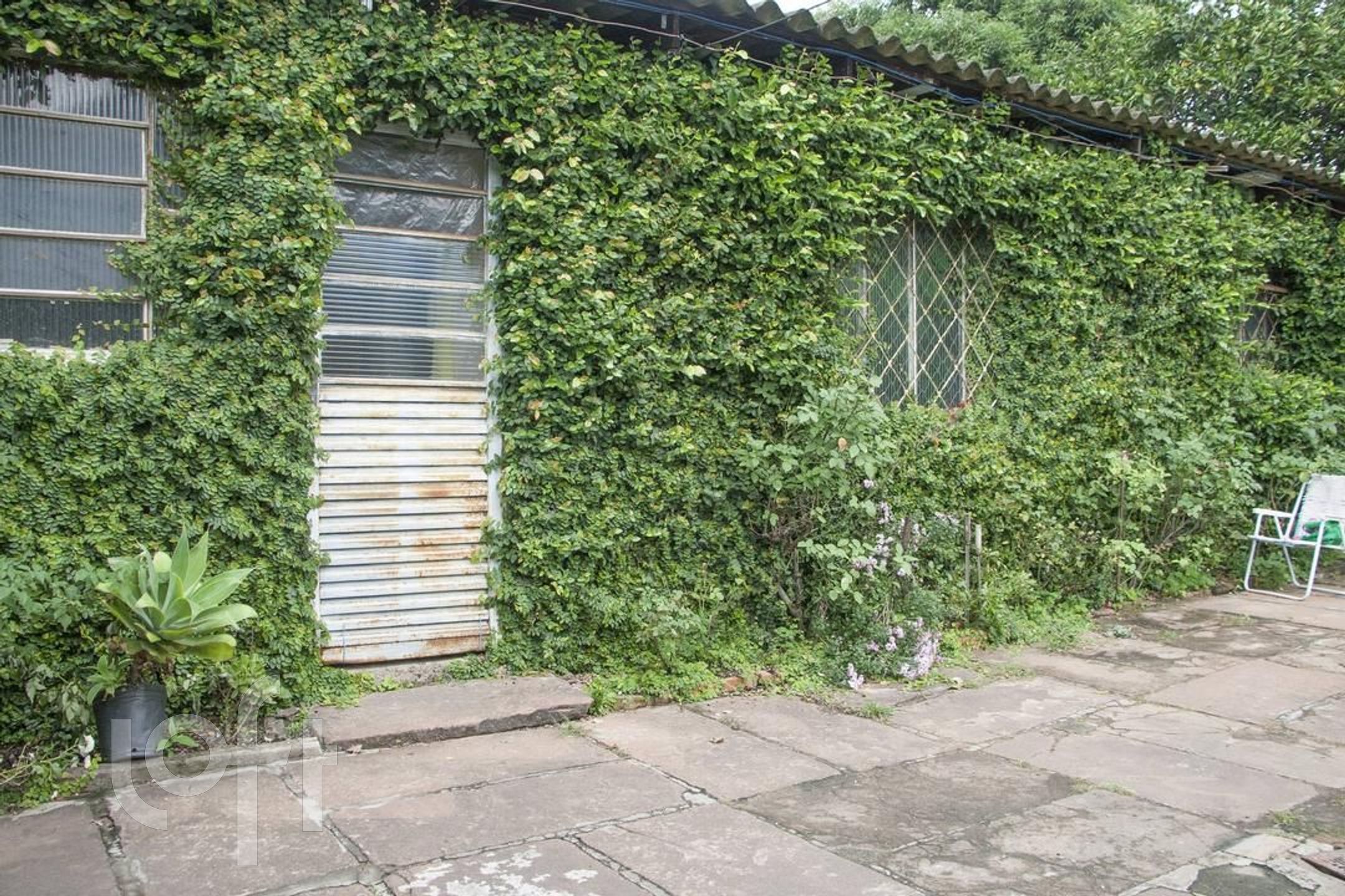 Imagem da propriedade 21