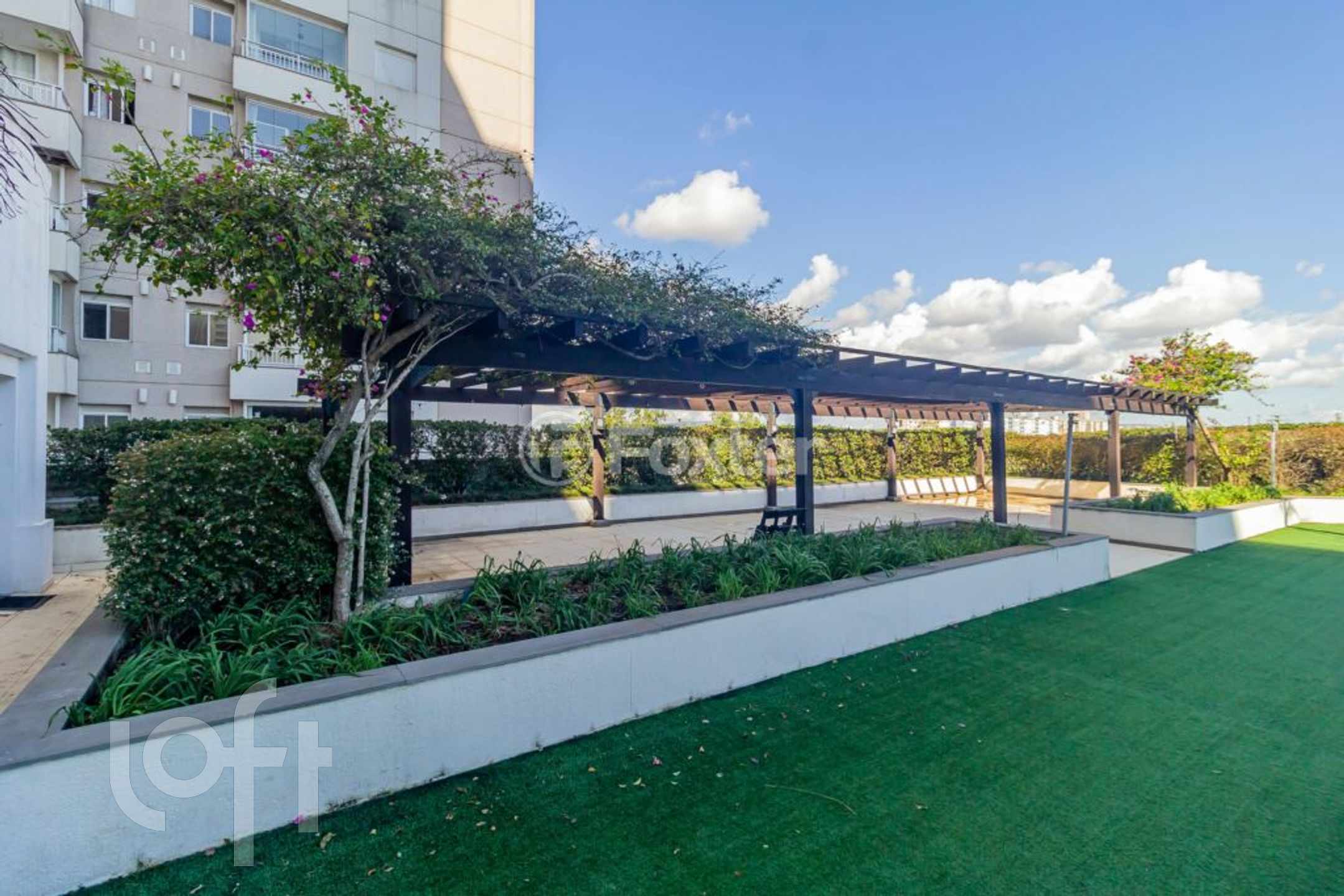 Imagem da propriedade 50