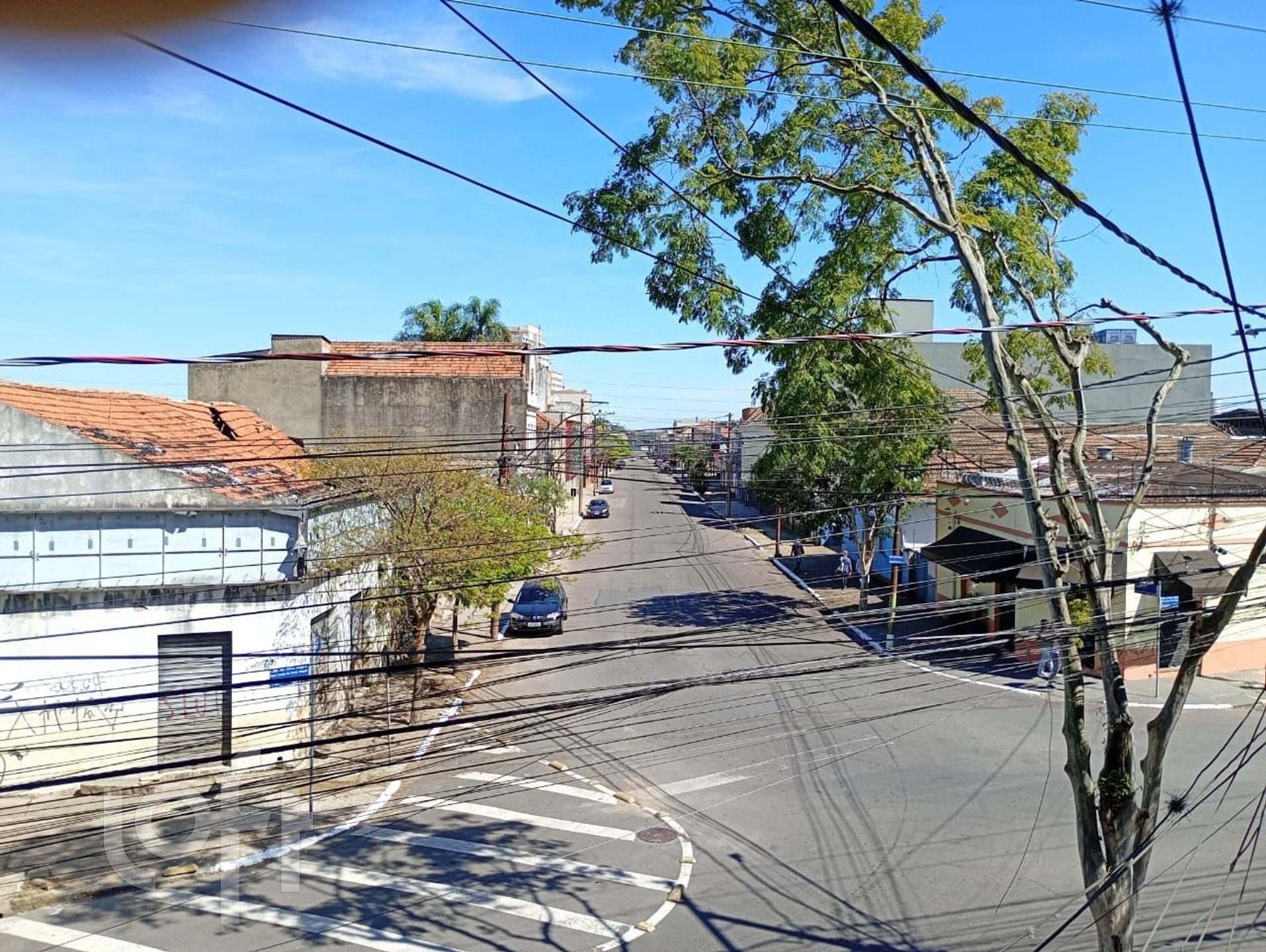 Imagem da propriedade 21