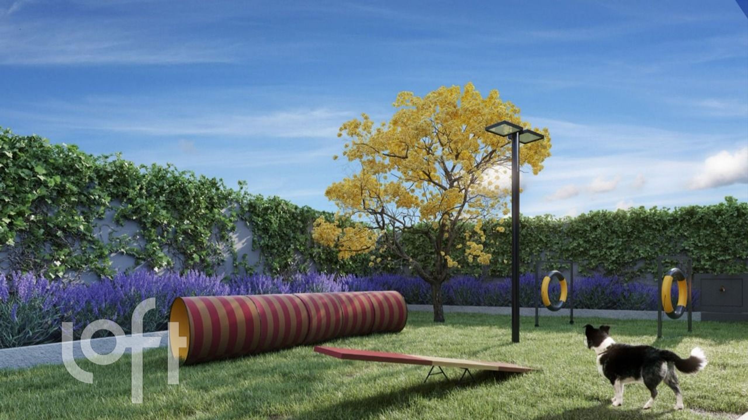 Imagem da propriedade 10