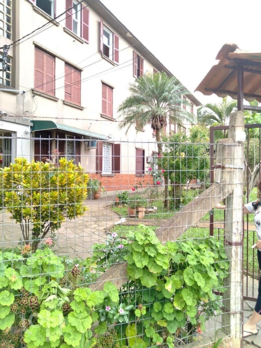 Imagem da propriedade 13