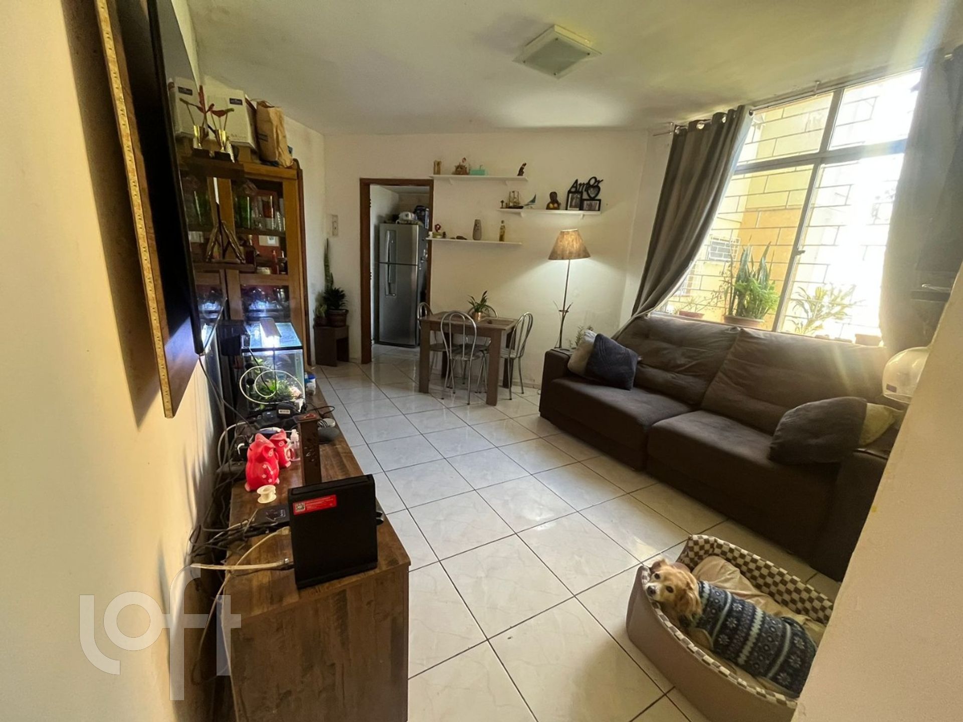 Imagem da propriedade 4