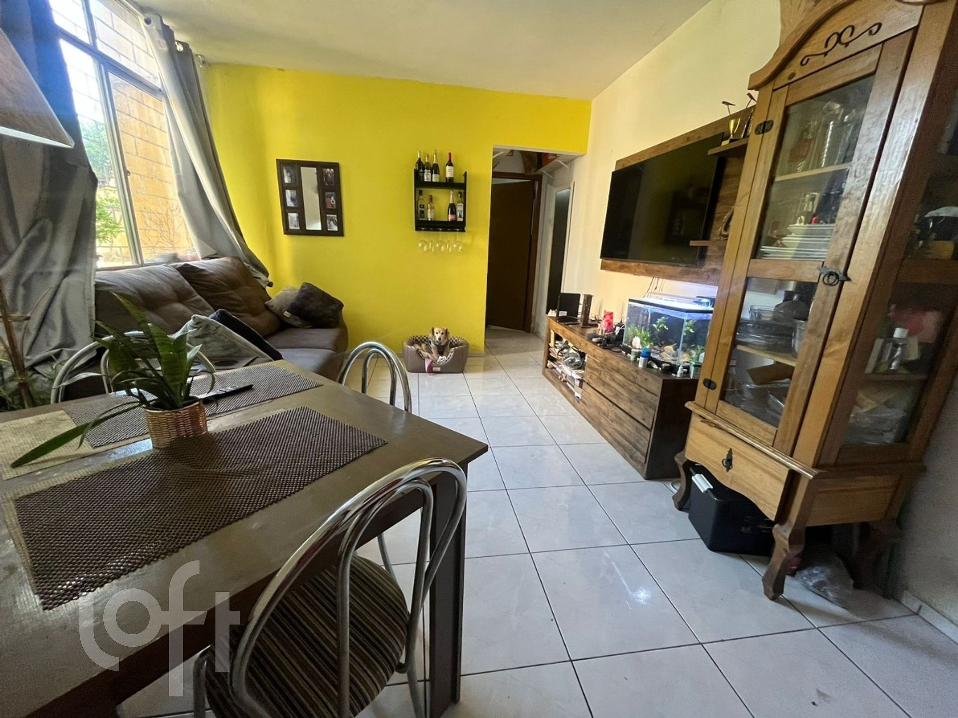 Imagem da propriedade 6