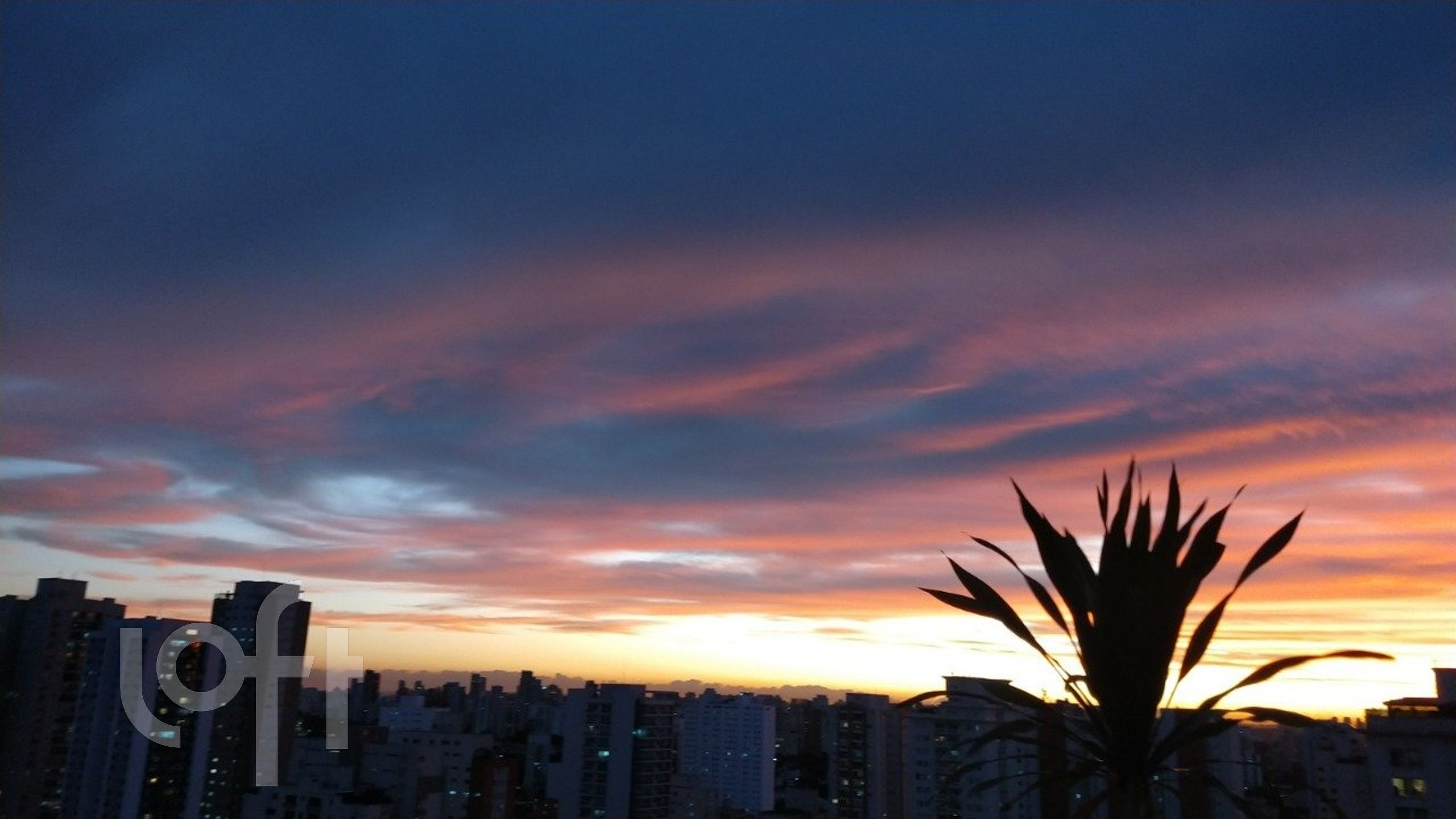 Imagem da propriedade PU1kdkxur 31
