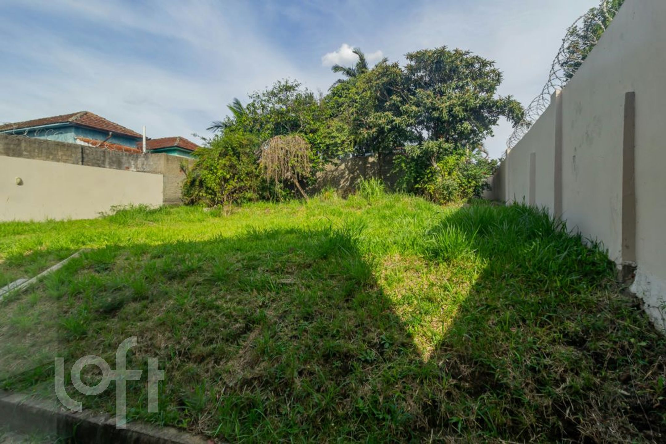 Imagem da propriedade 29