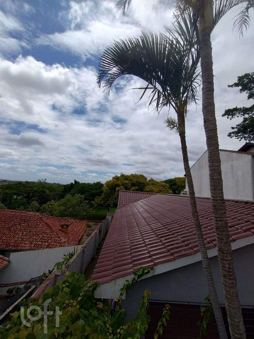 Imagem da propriedade 19