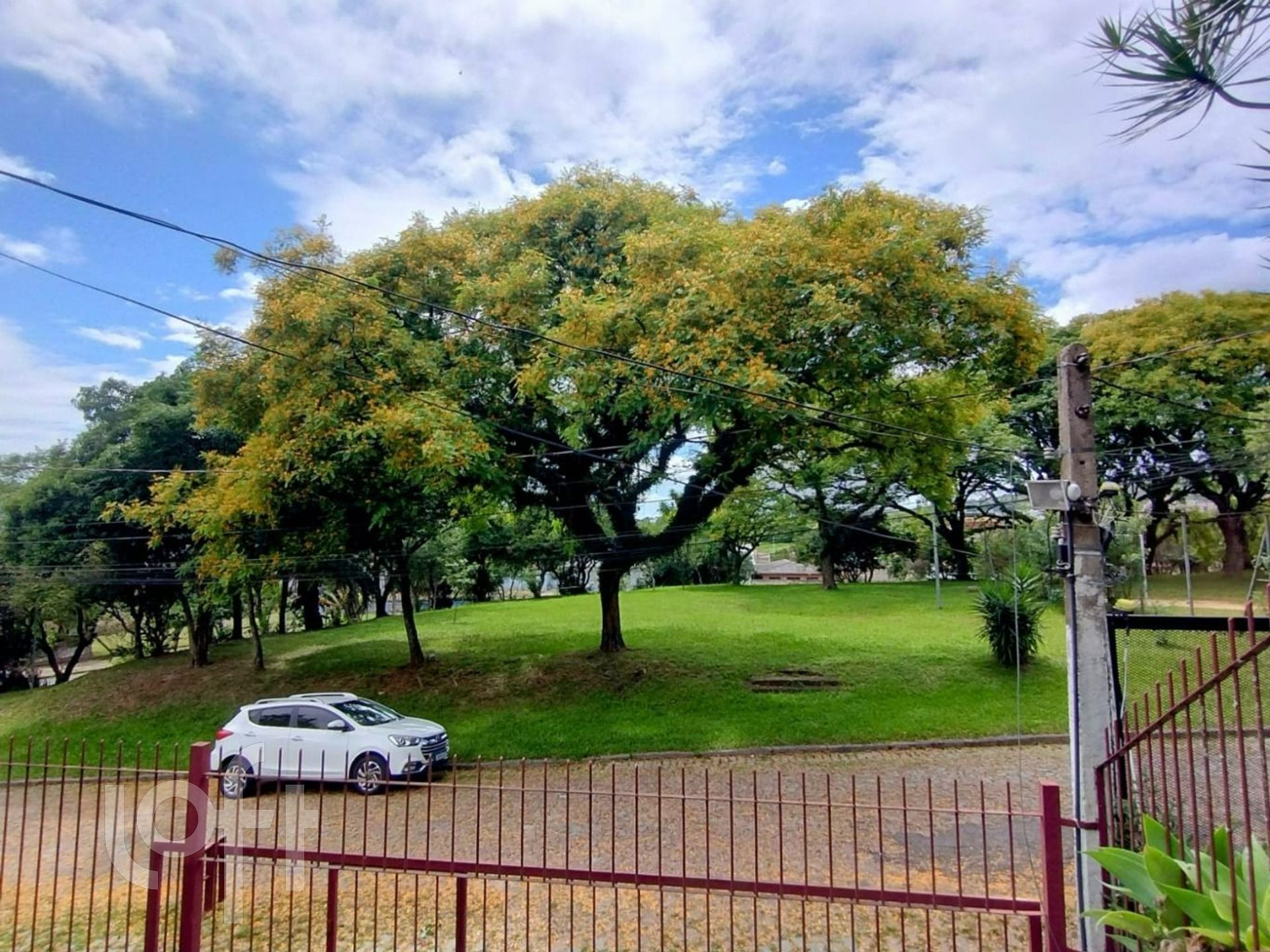 Imagem da propriedade 21