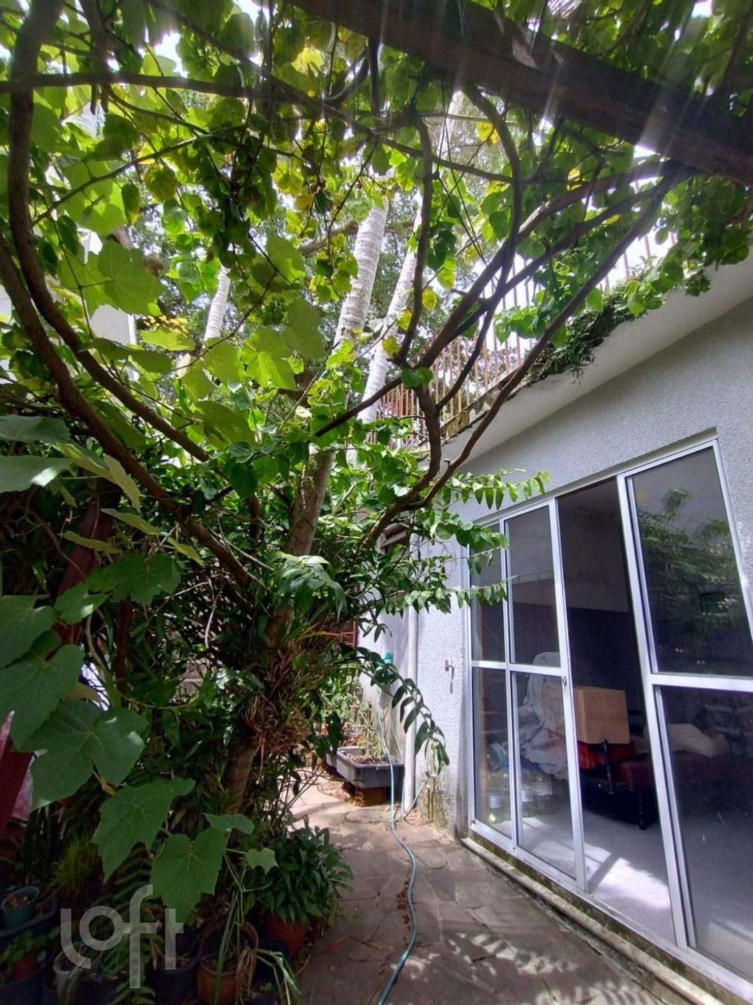 Imagem da propriedade 17