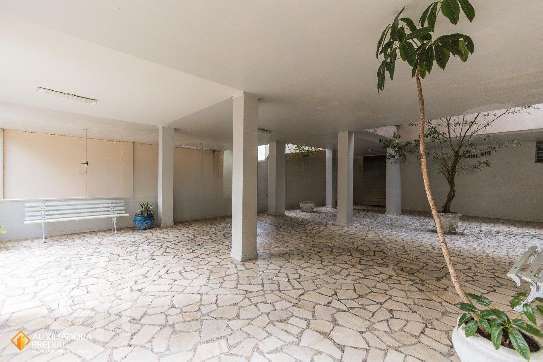 Imagem da propriedade 27