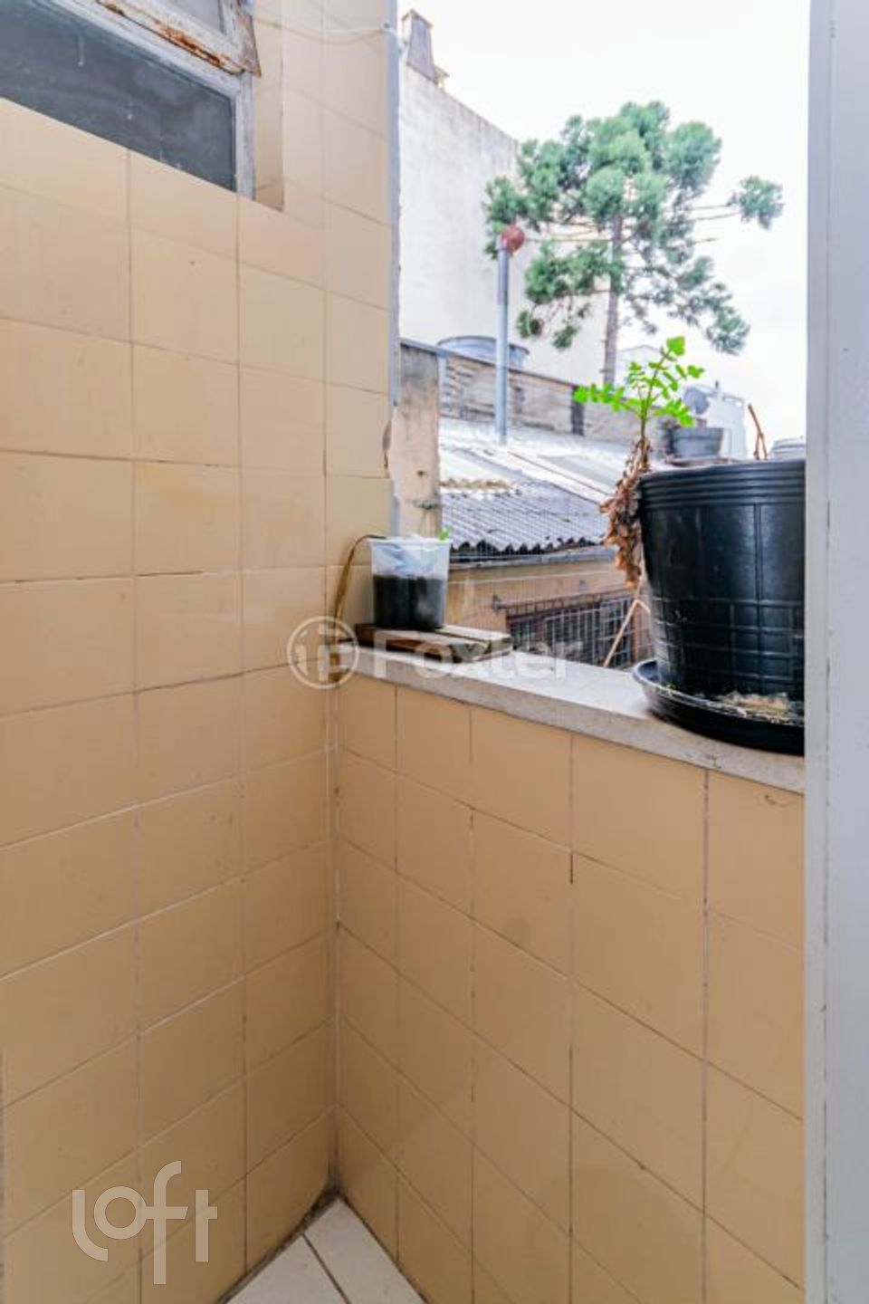 Imagem da propriedade 16