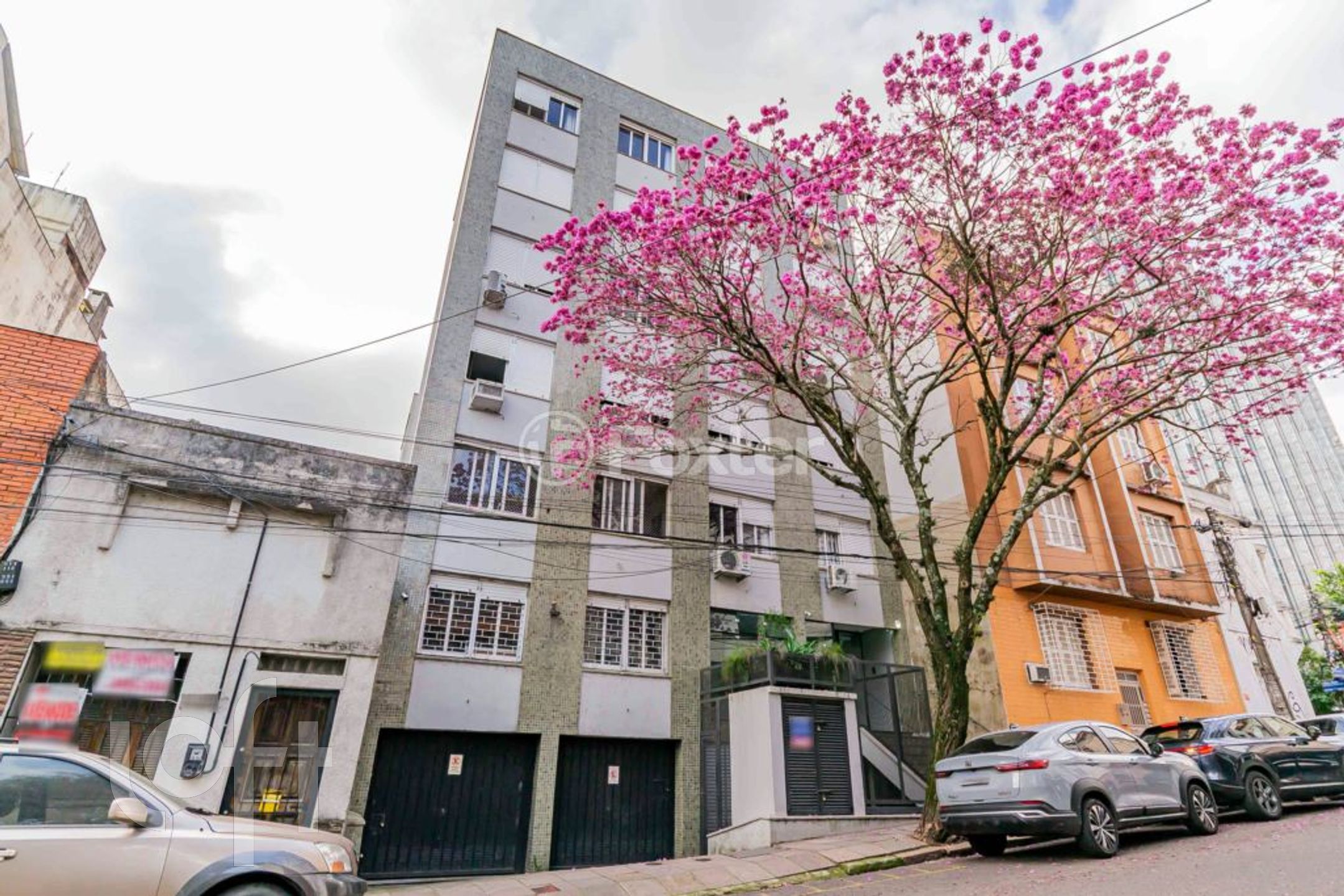 Imagem da propriedade 19