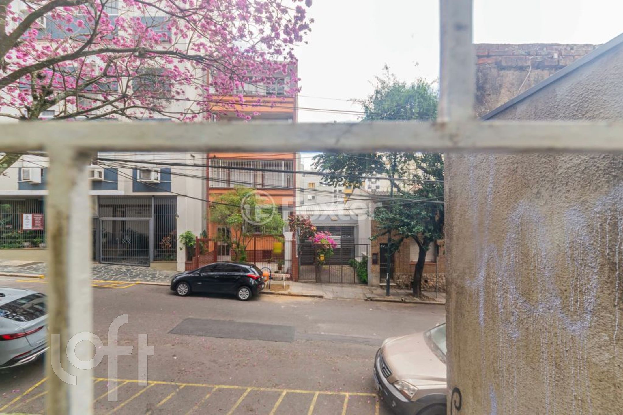 Imagem da propriedade 10