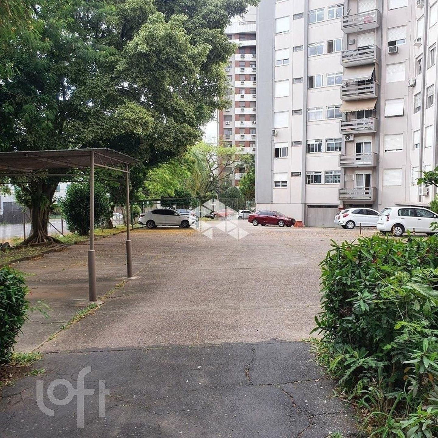 Imagem da propriedade 3