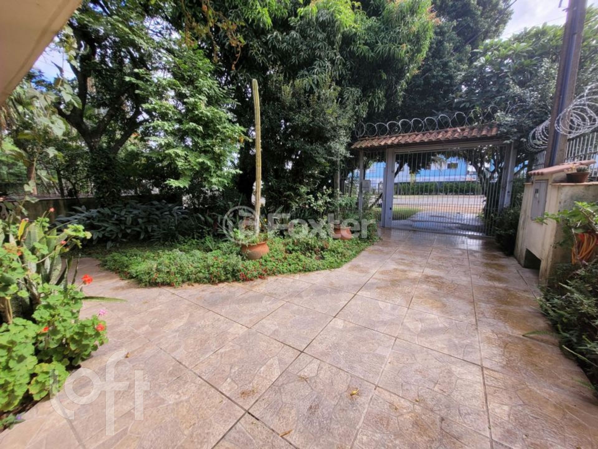 Imagem da propriedade 34