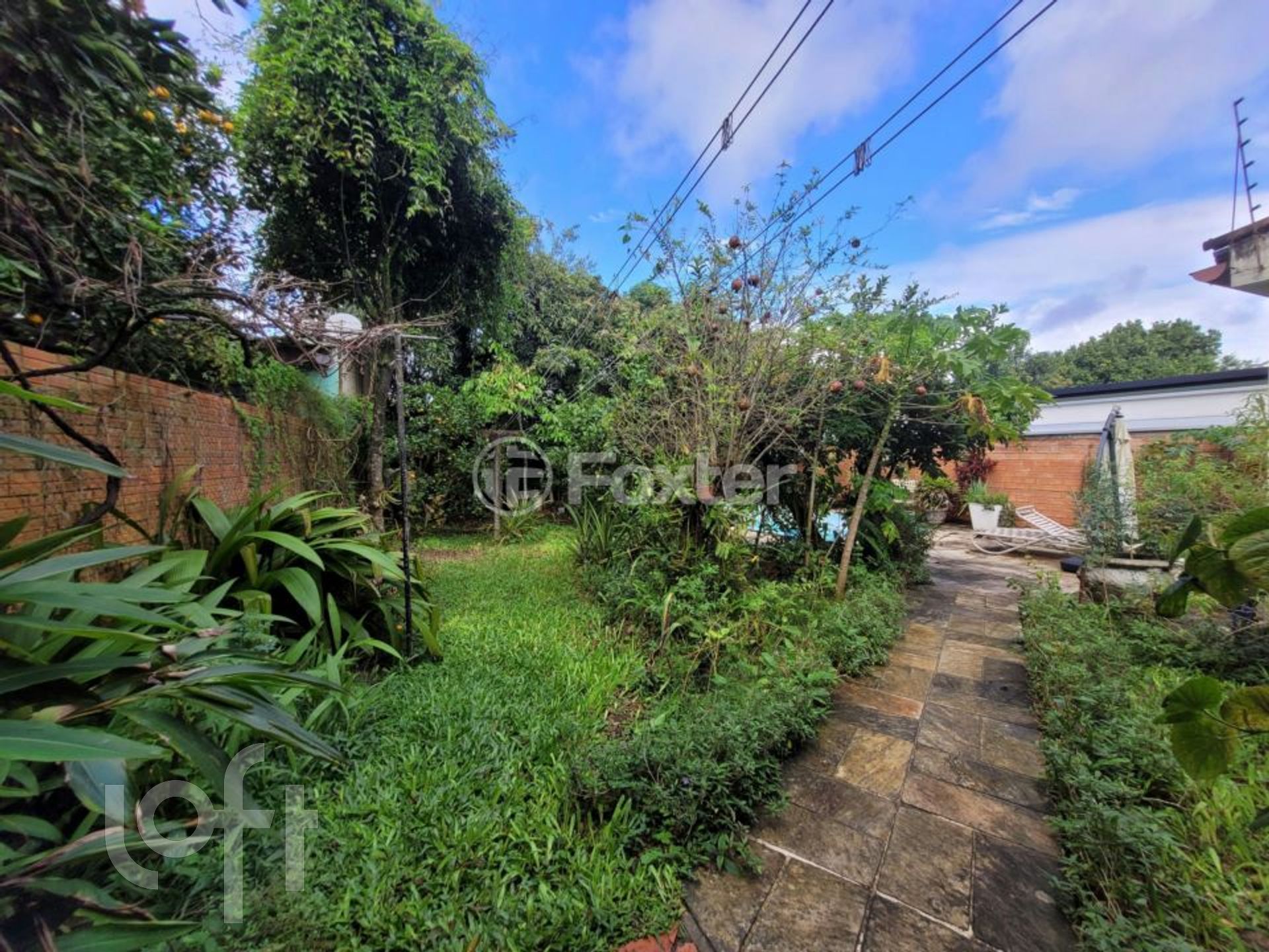 Imagem da propriedade 33