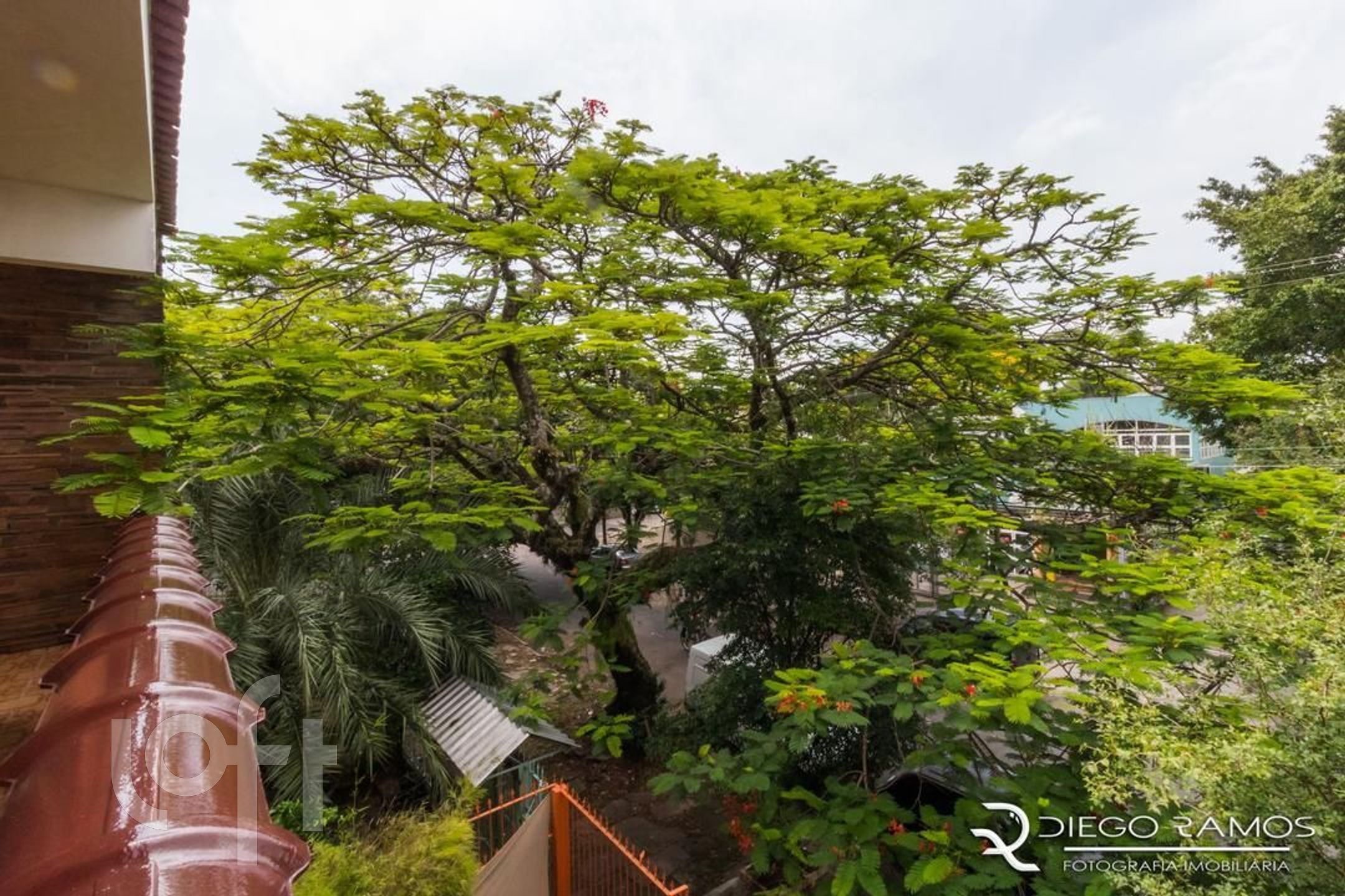 Imagem da propriedade 3