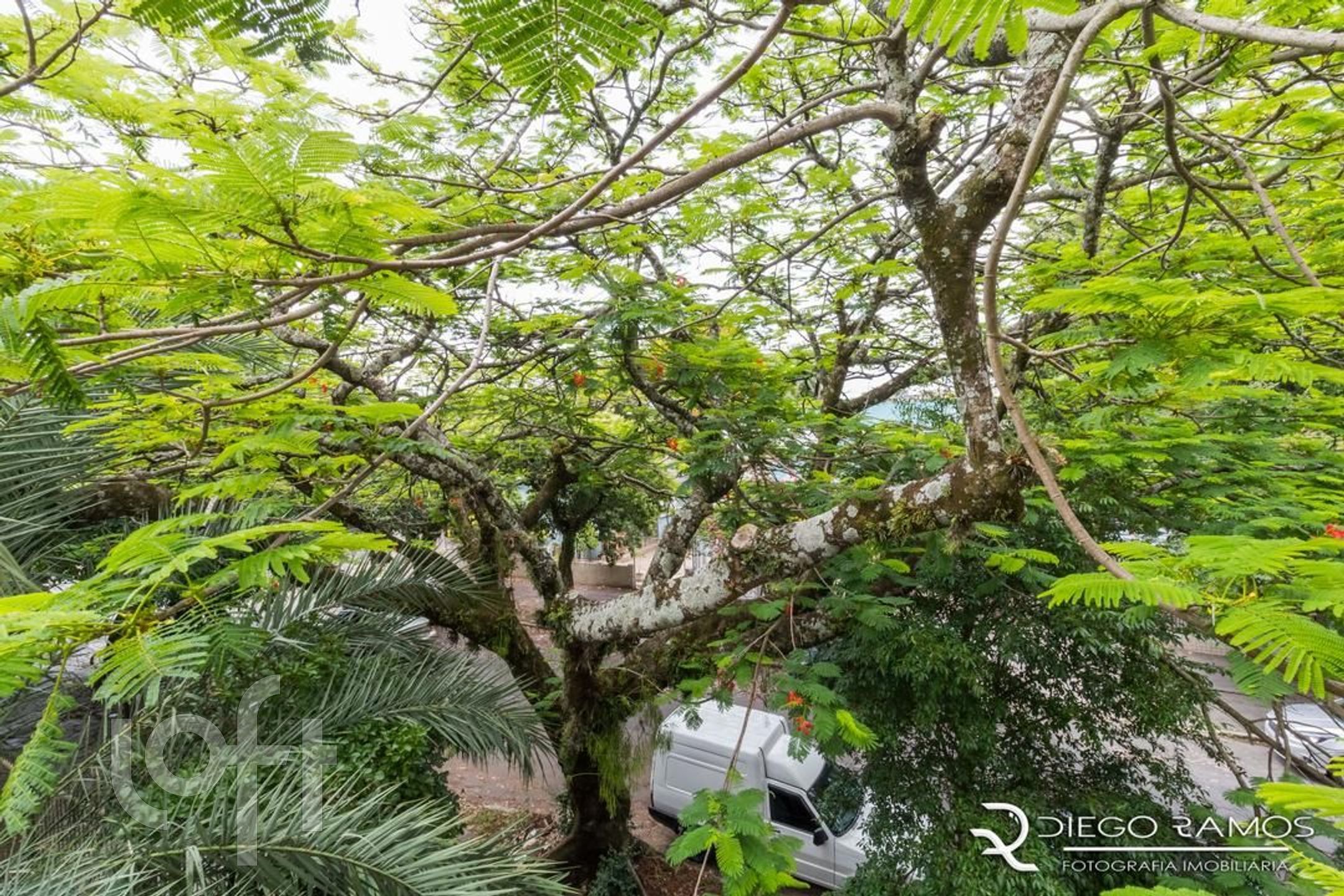 Imagem da propriedade 33