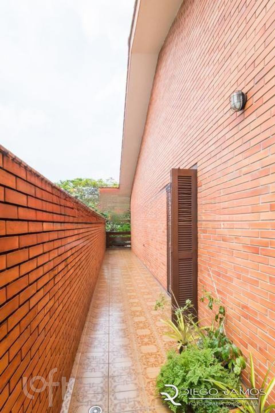 Imagem da propriedade 31