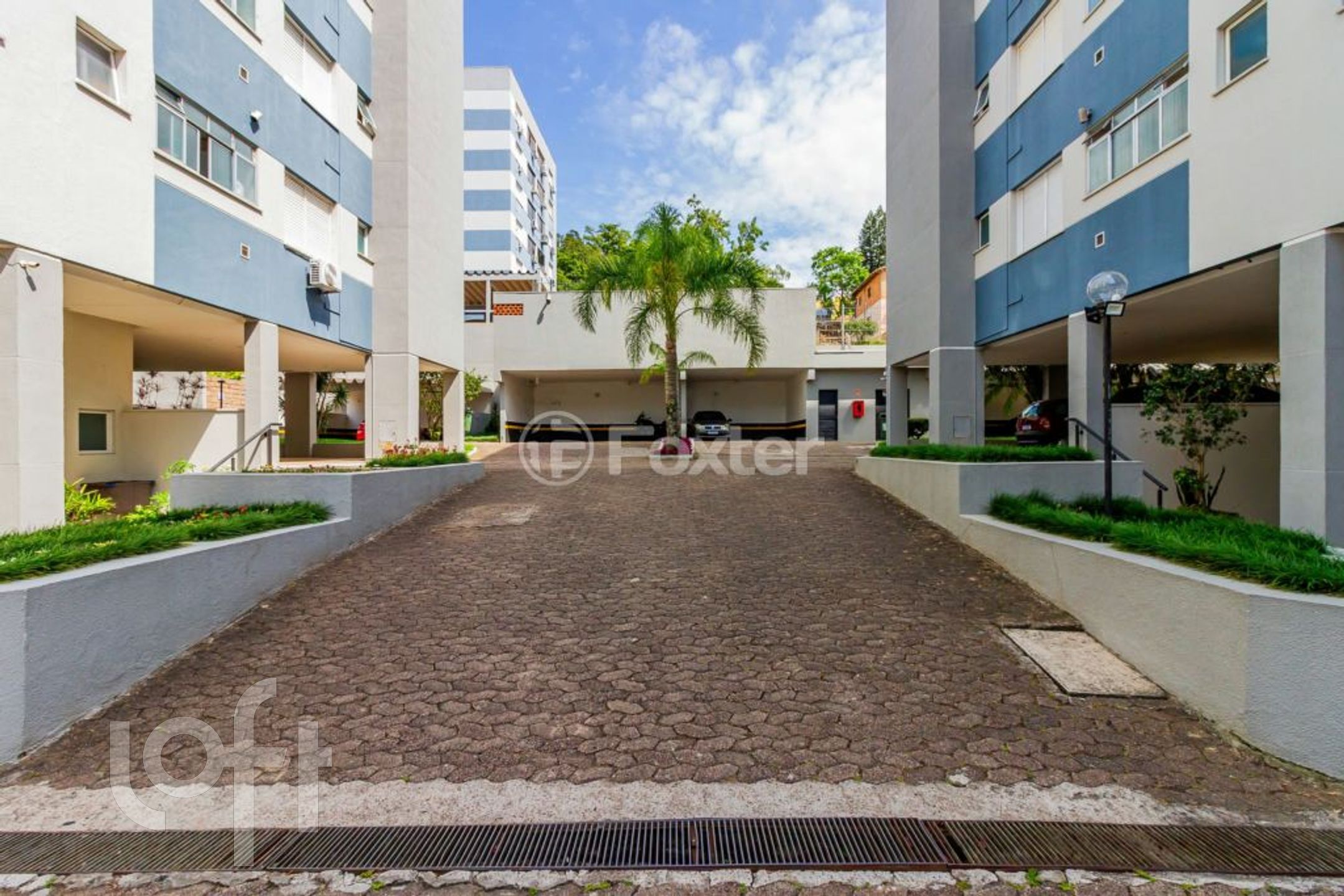 Imagem da propriedade 30