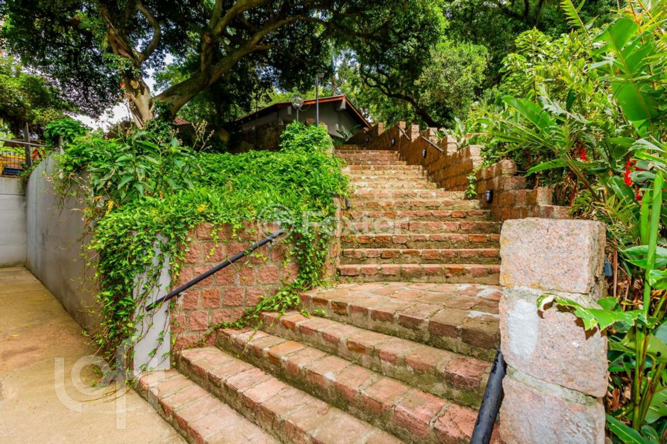 Imagem da propriedade 59