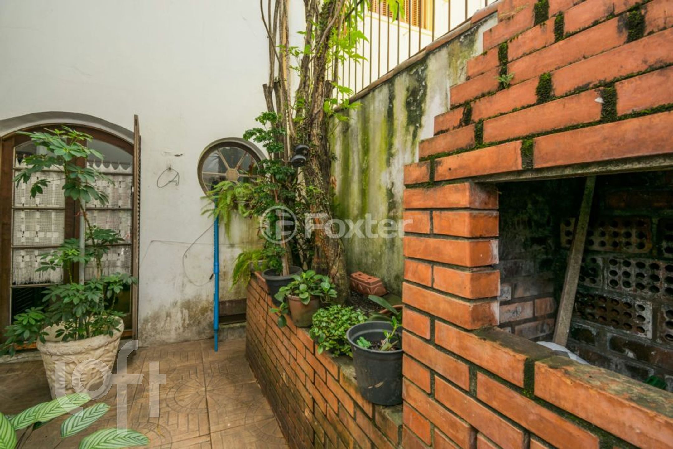 Imagem da propriedade 12