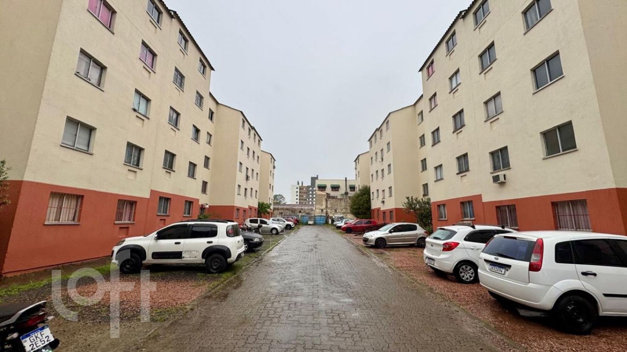 Imagem da propriedade 3