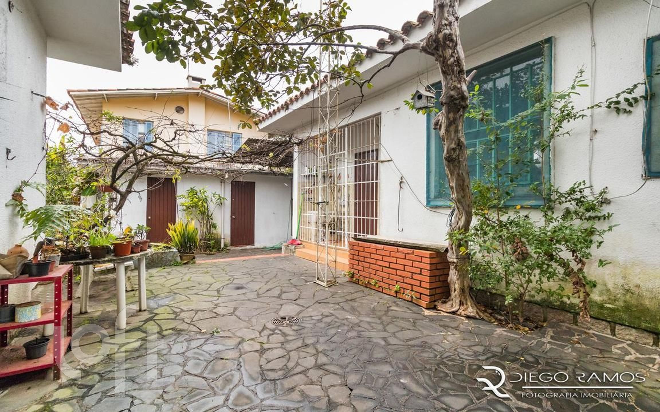 Imagem da propriedade 18