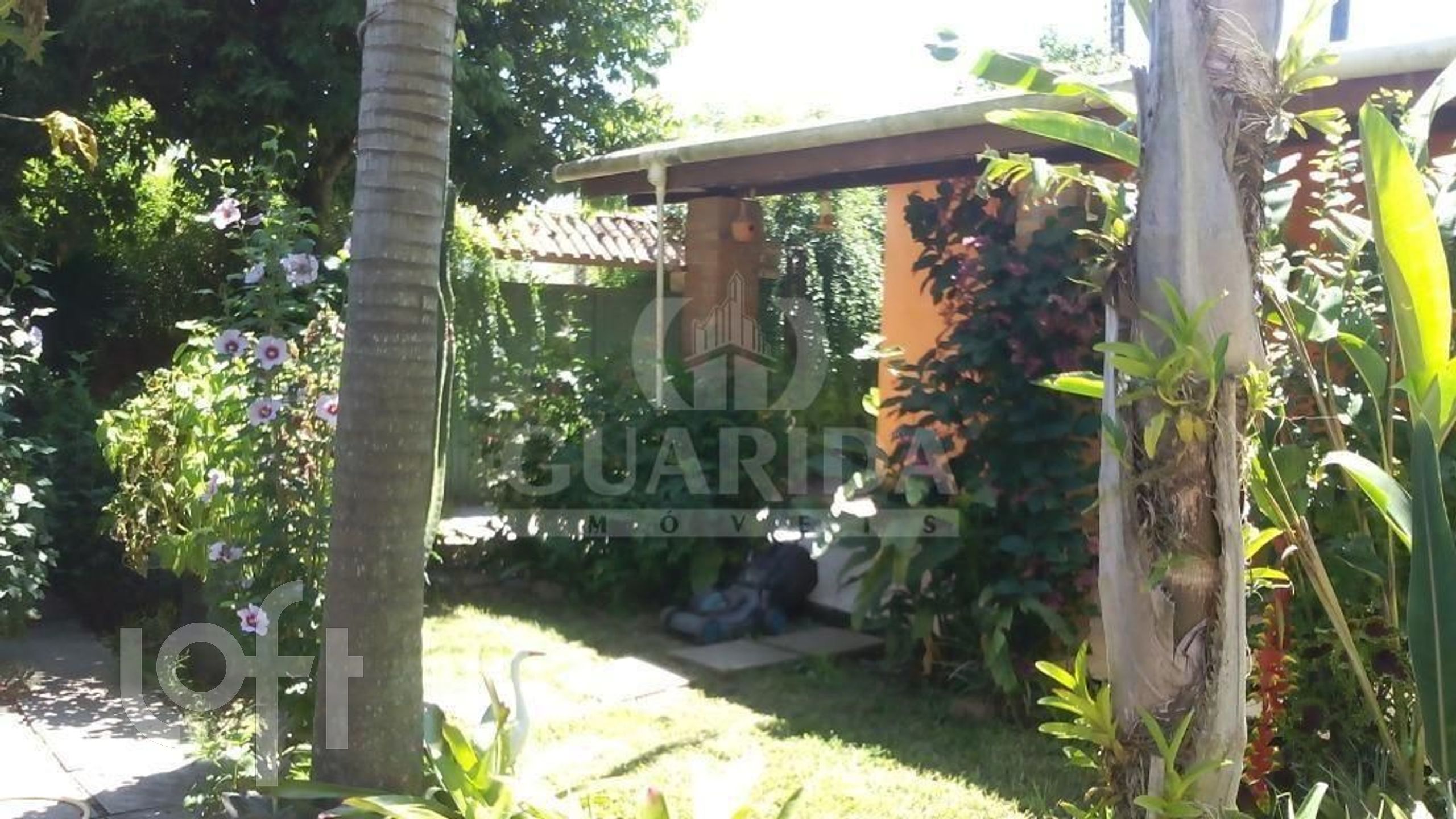 Imagem da propriedade 6