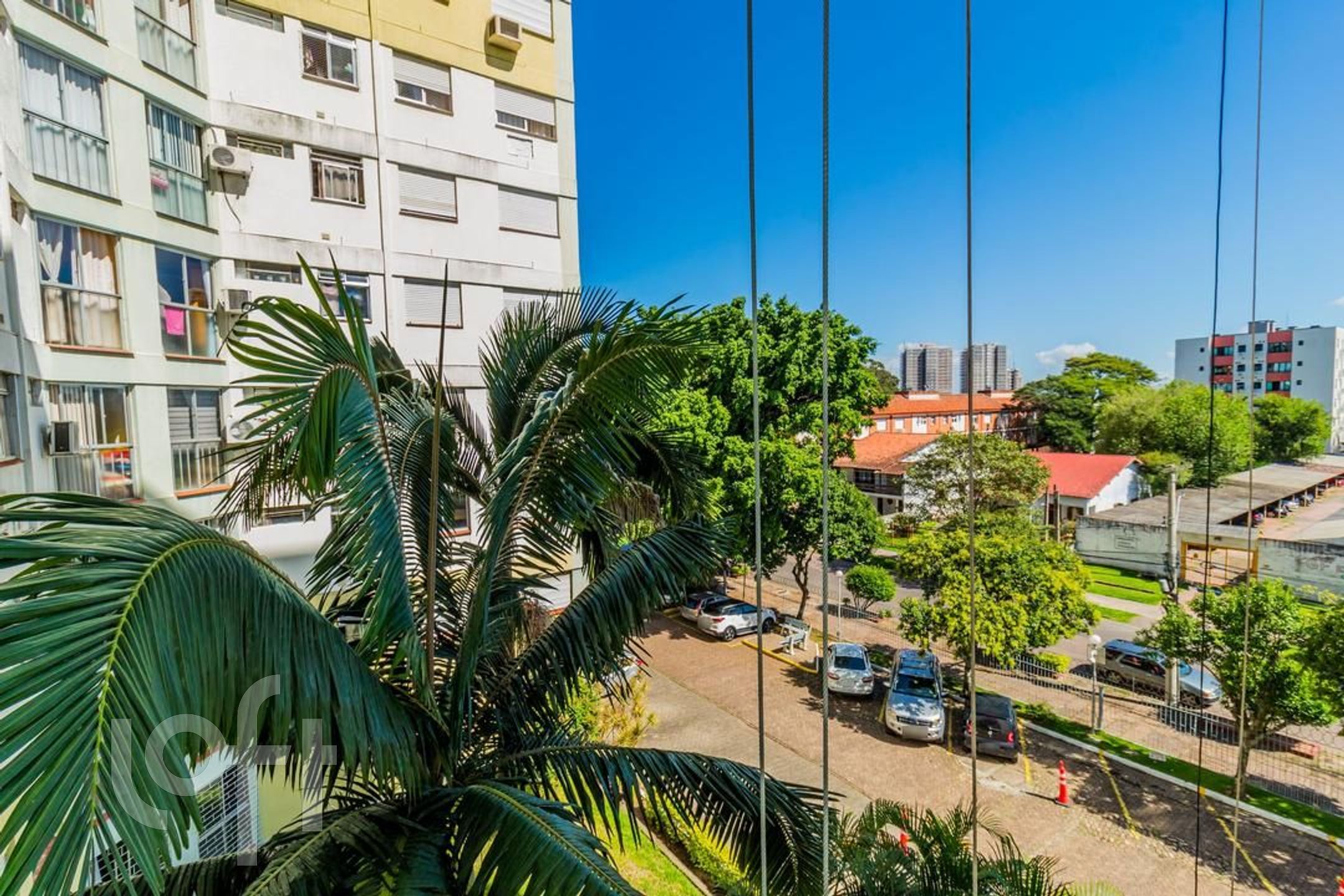 Imagem da propriedade 3