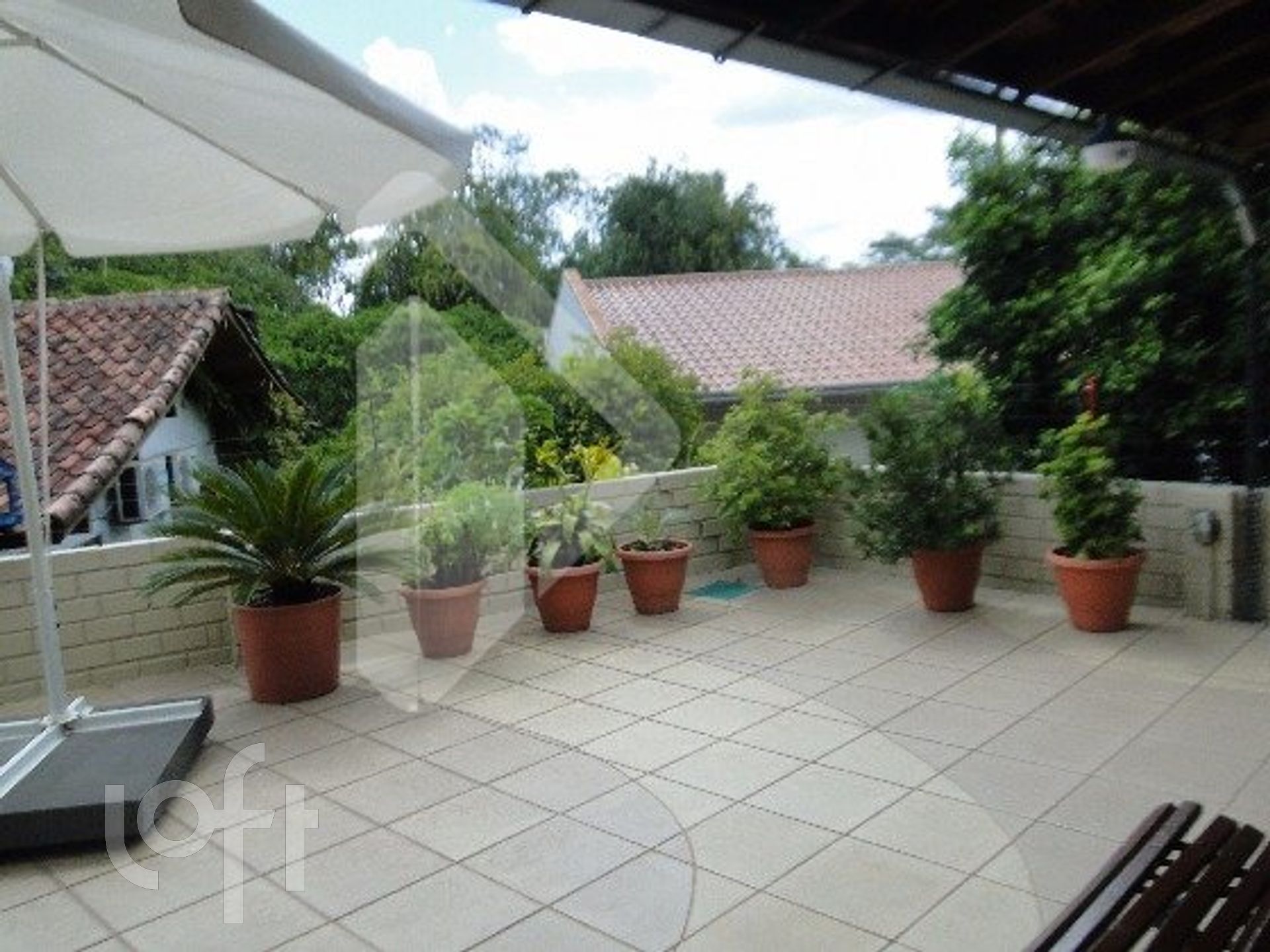 Imagem da propriedade 3