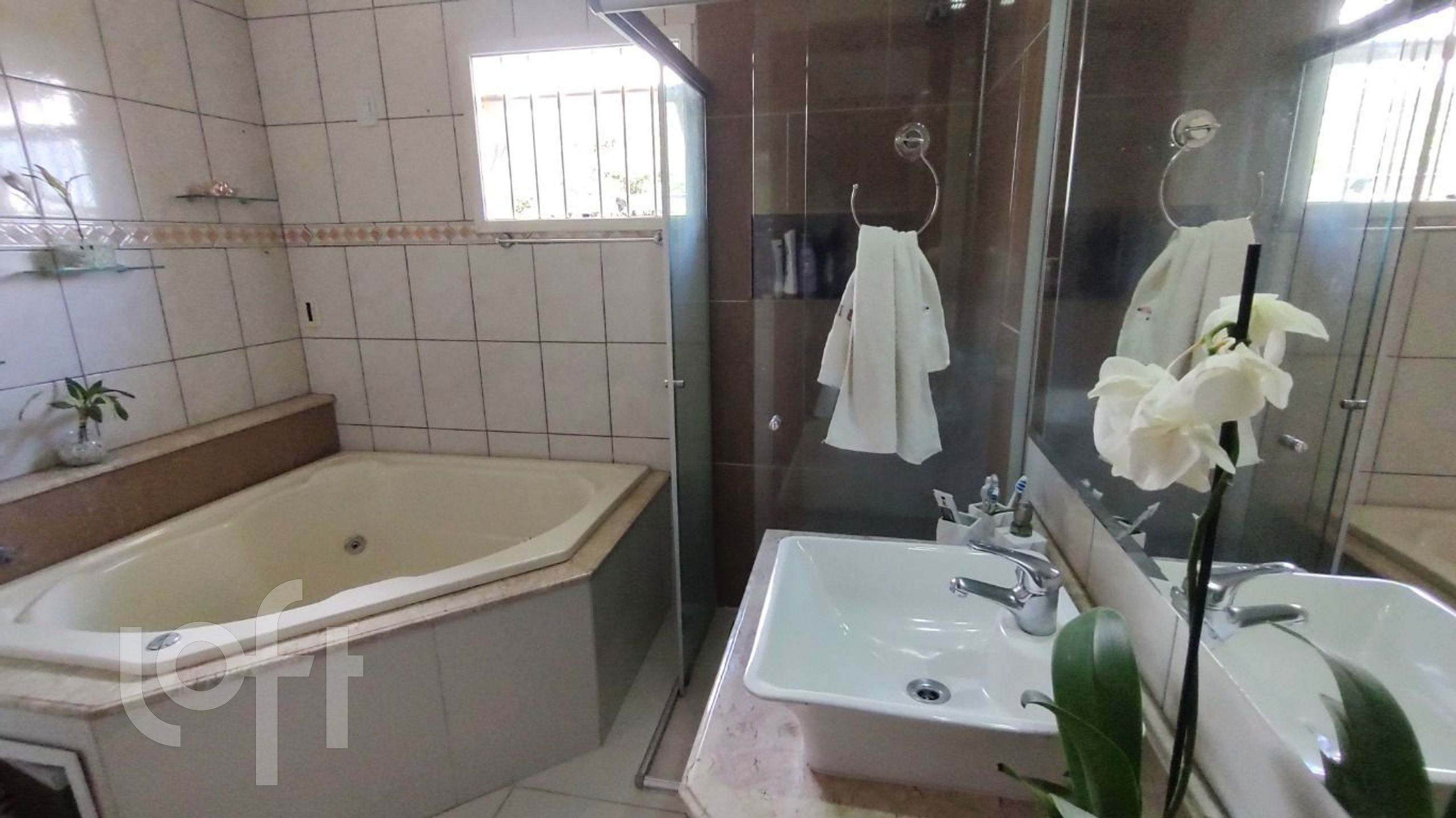 Imagem da propriedade 15