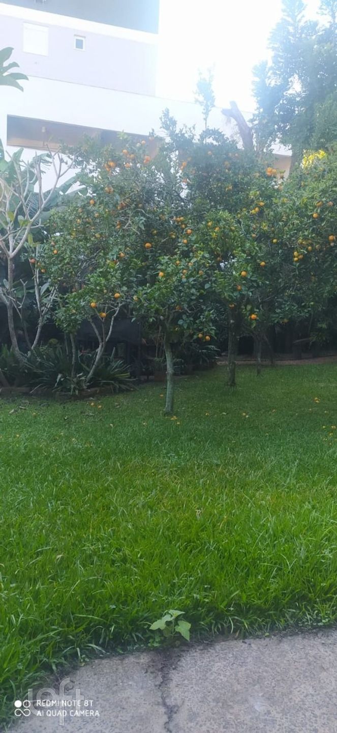 Imagem da propriedade 7