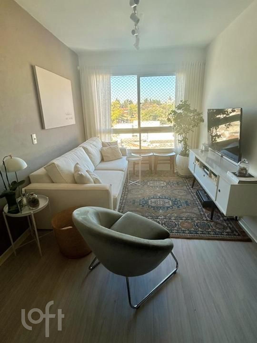 Imagem da propriedade 3