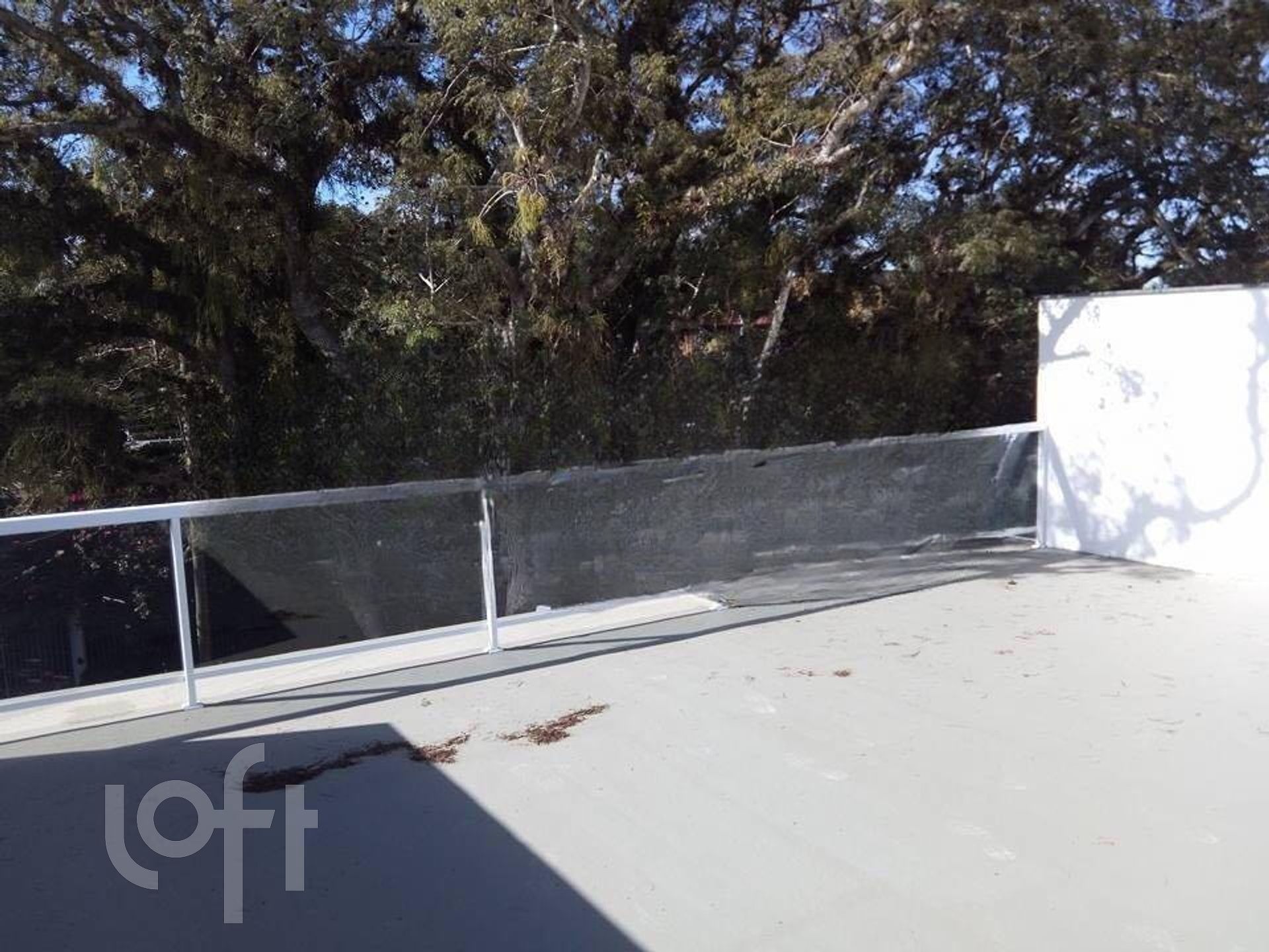 Imagem da propriedade 15