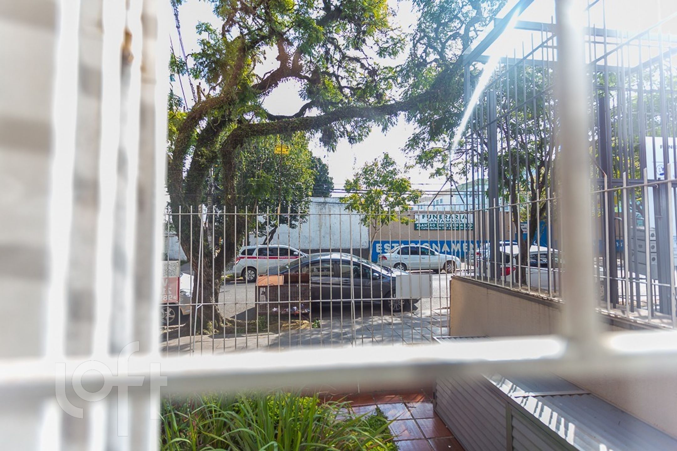 Imagem da propriedade 20