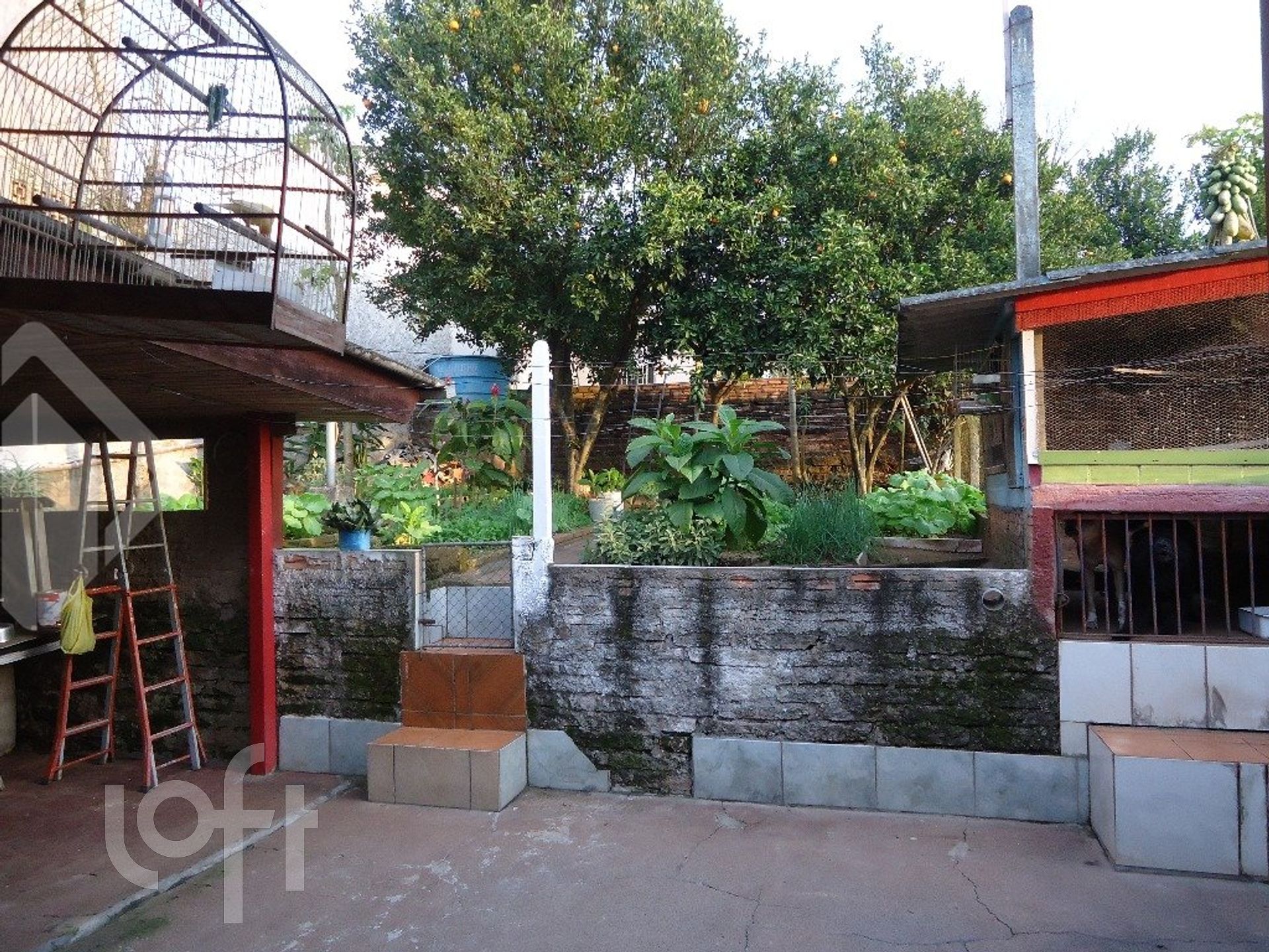 Imagem da propriedade 15