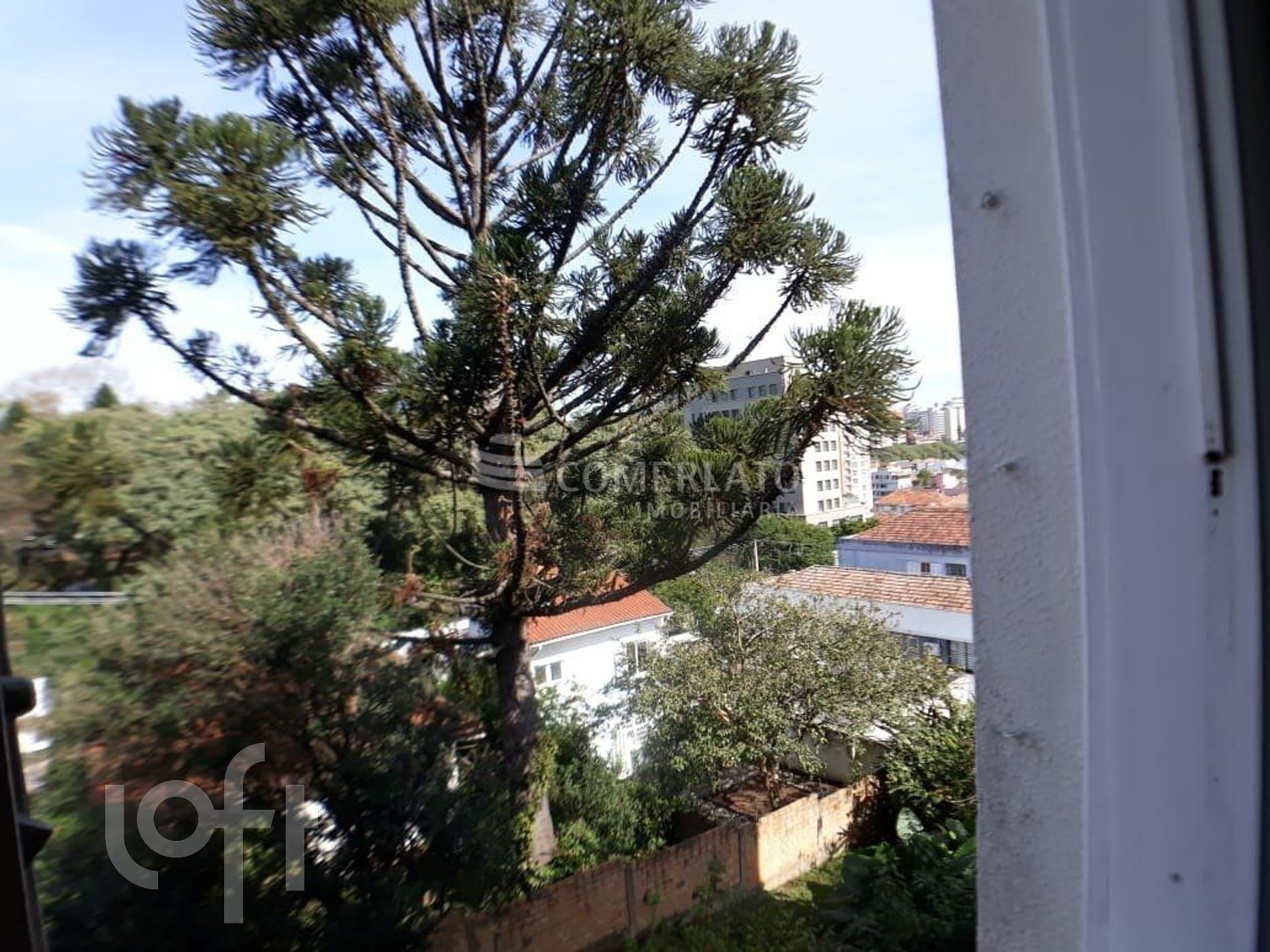 Imagem da propriedade 28