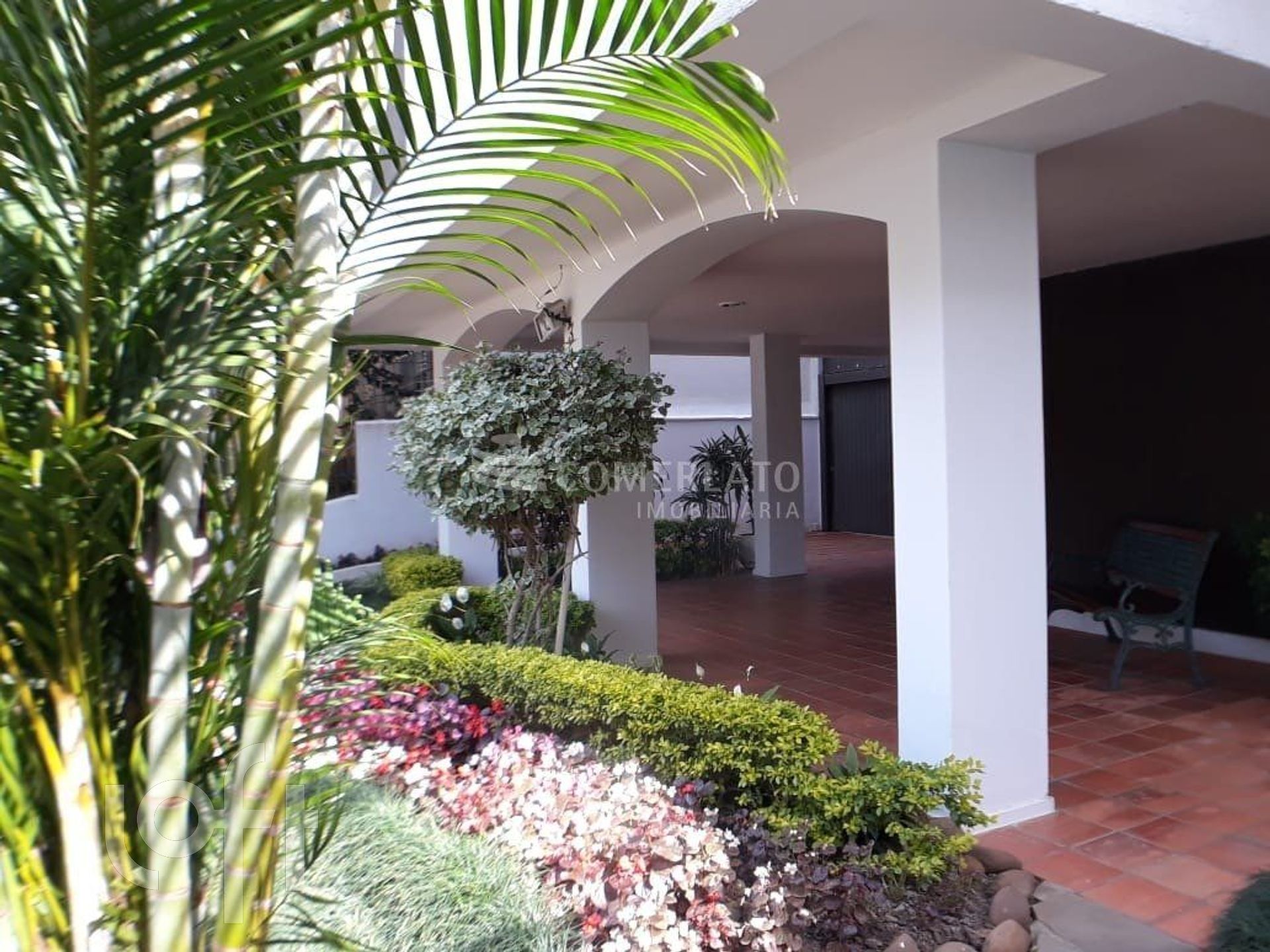 Imagem da propriedade 4